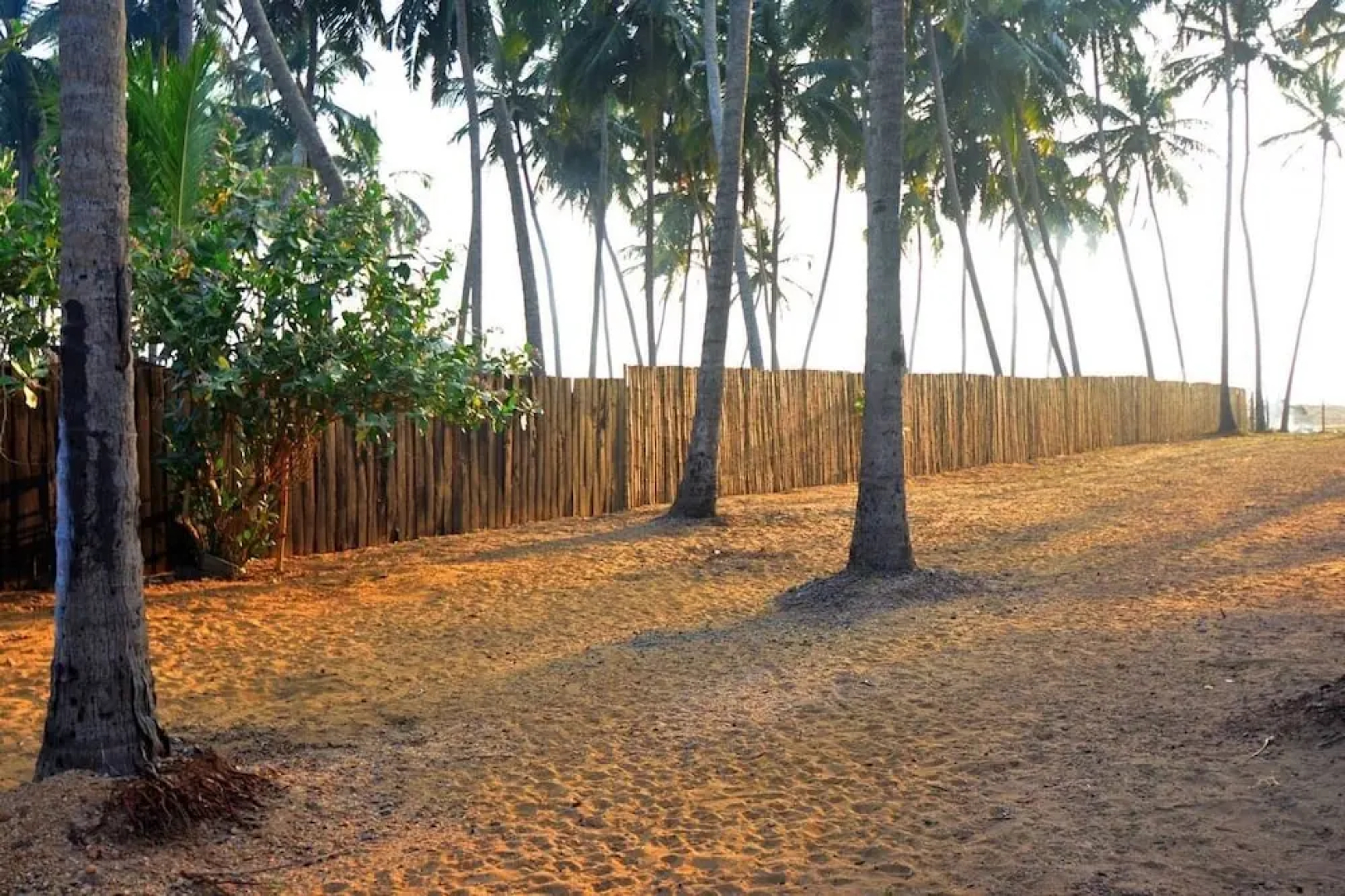Aozora Beach SL0203