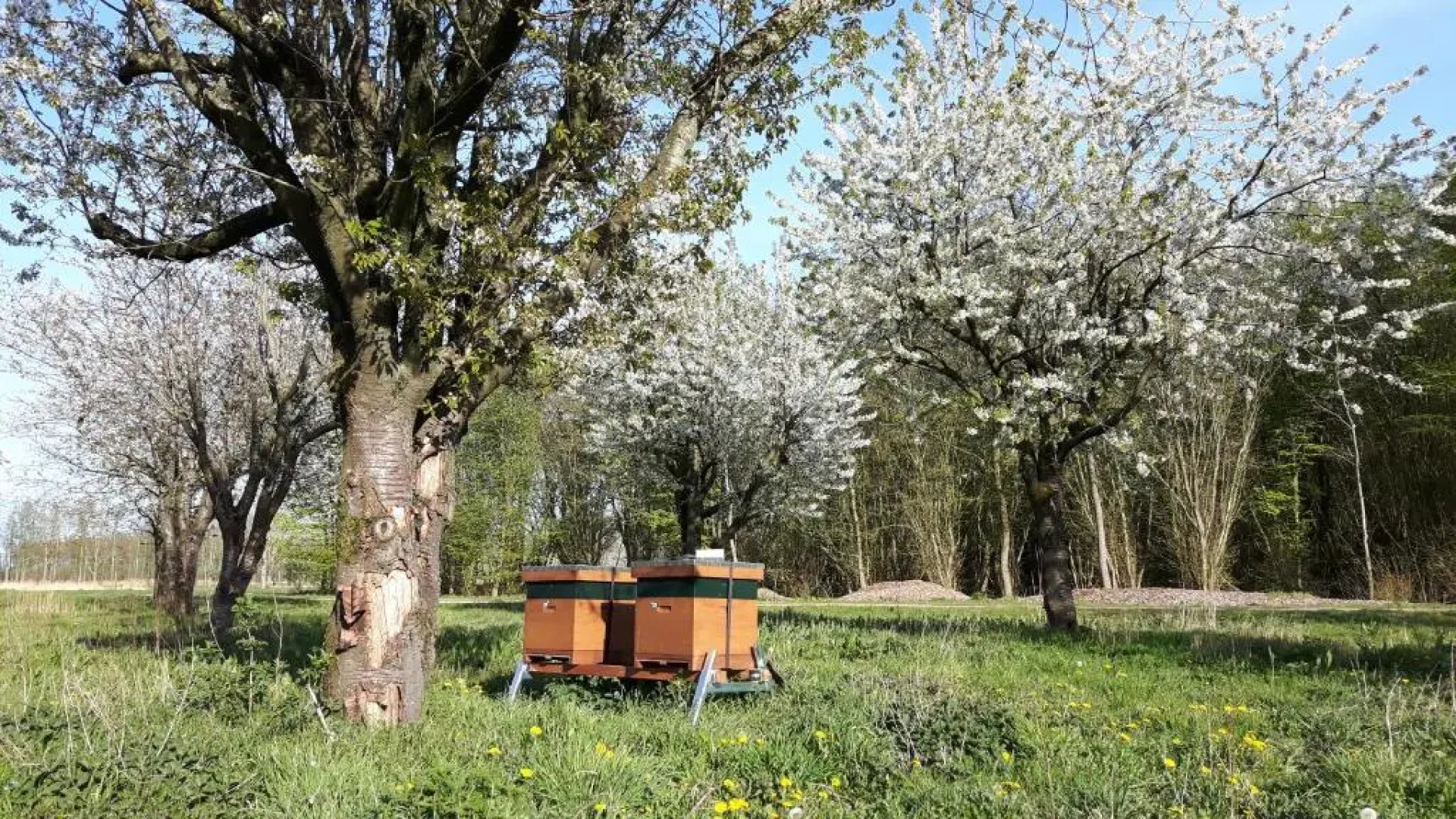 The Black House - Luxurious Holiday Villa Zeewolde