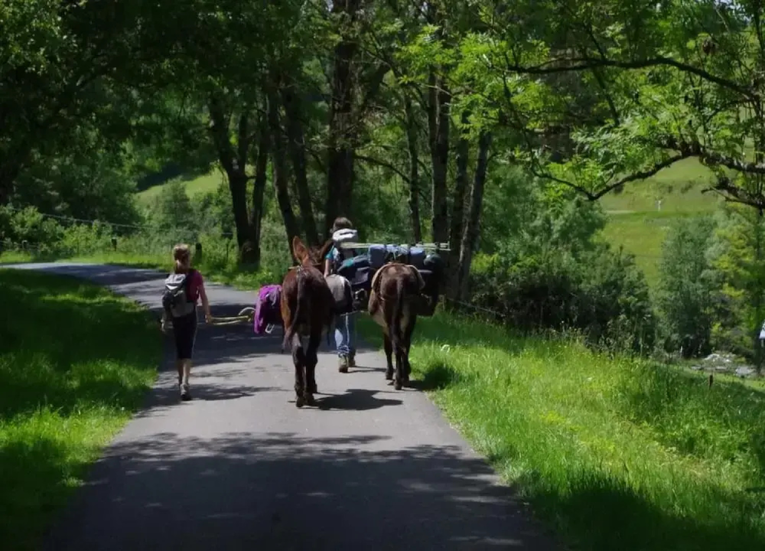 Charming Apartment in Ardennes