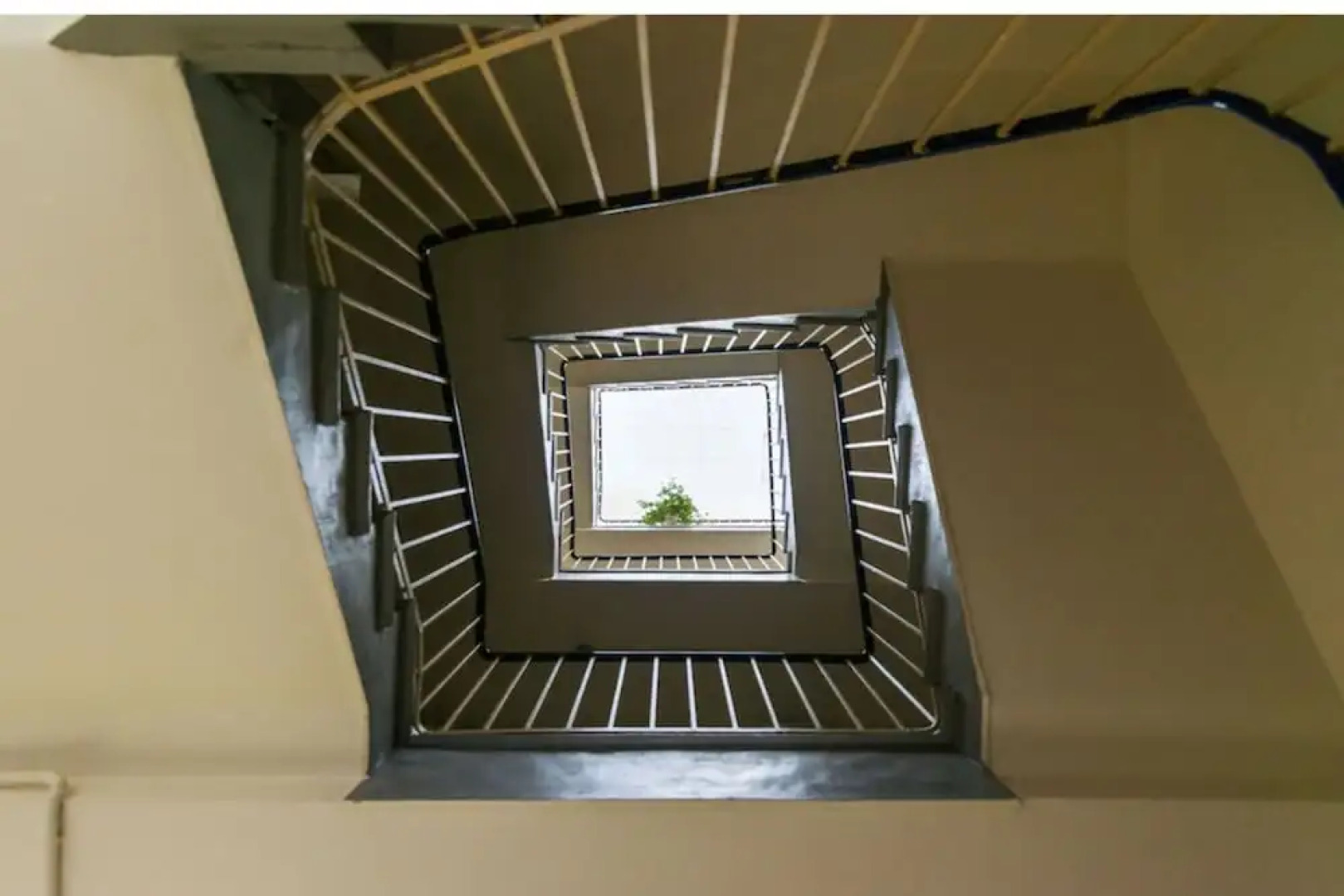 P&O Apartments Ciasna