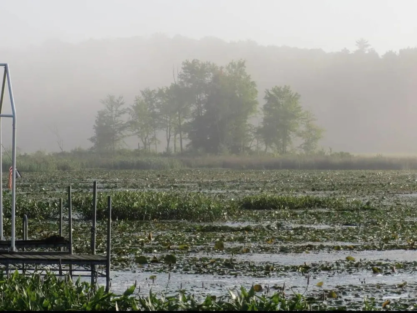Tentrr - Restoration at Cattail Cove