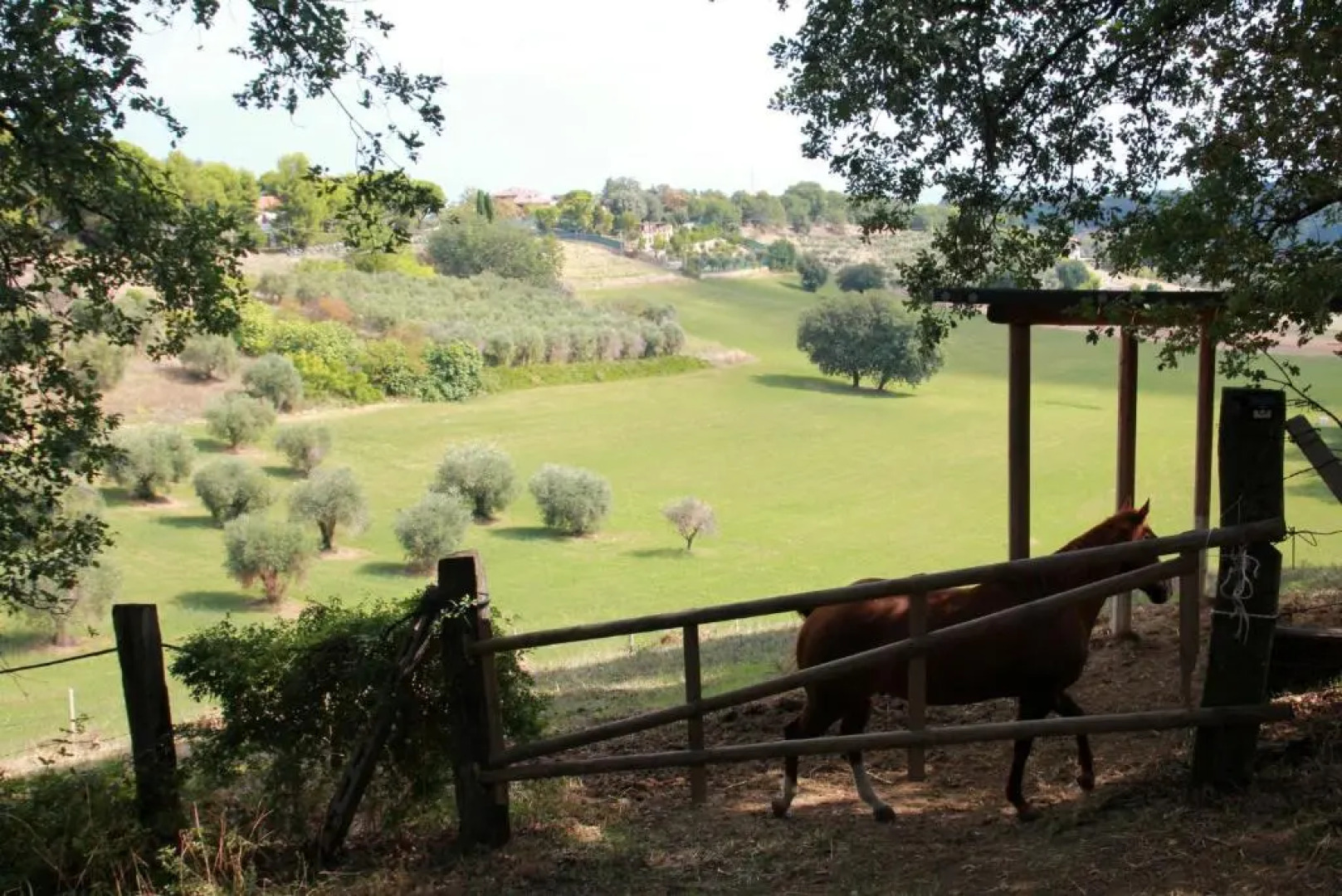 Glamping Poggio Imperiale Marche