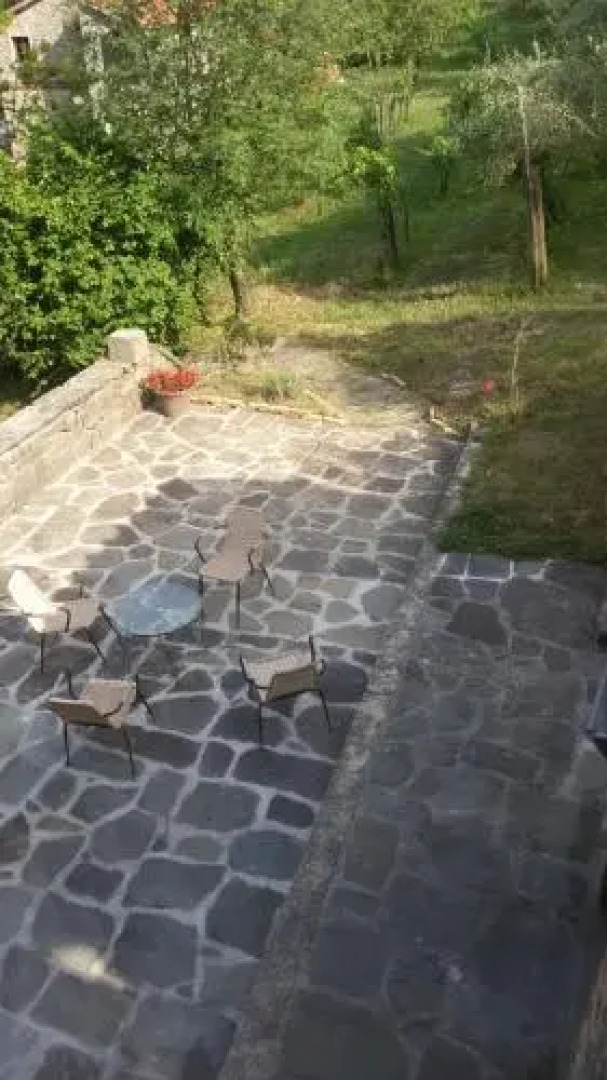 San Francesco E Il Lupo