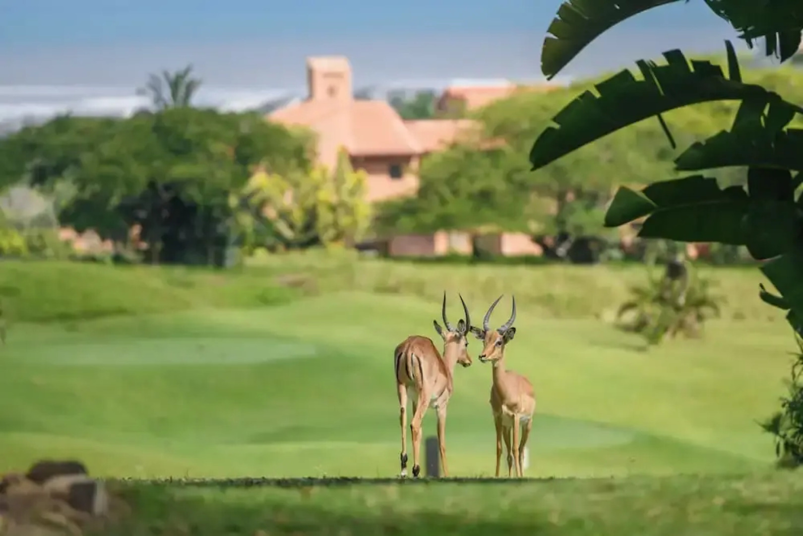 San Lameer Villa 1906