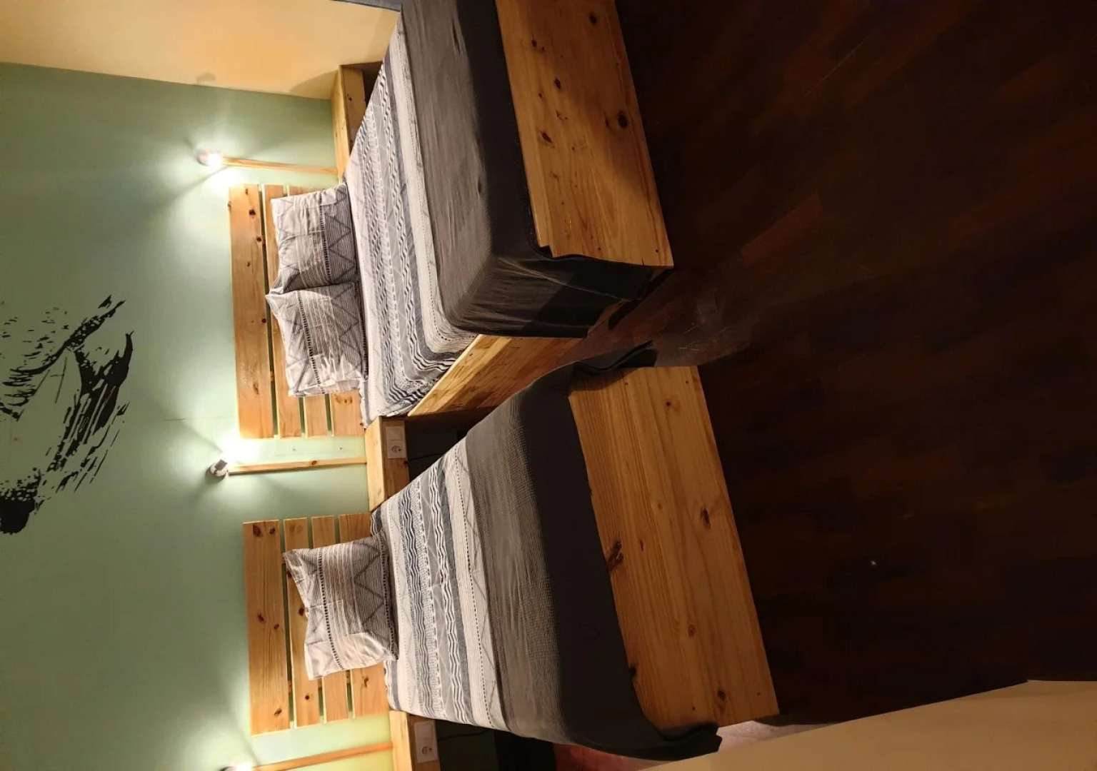 Next Level Surf Camp