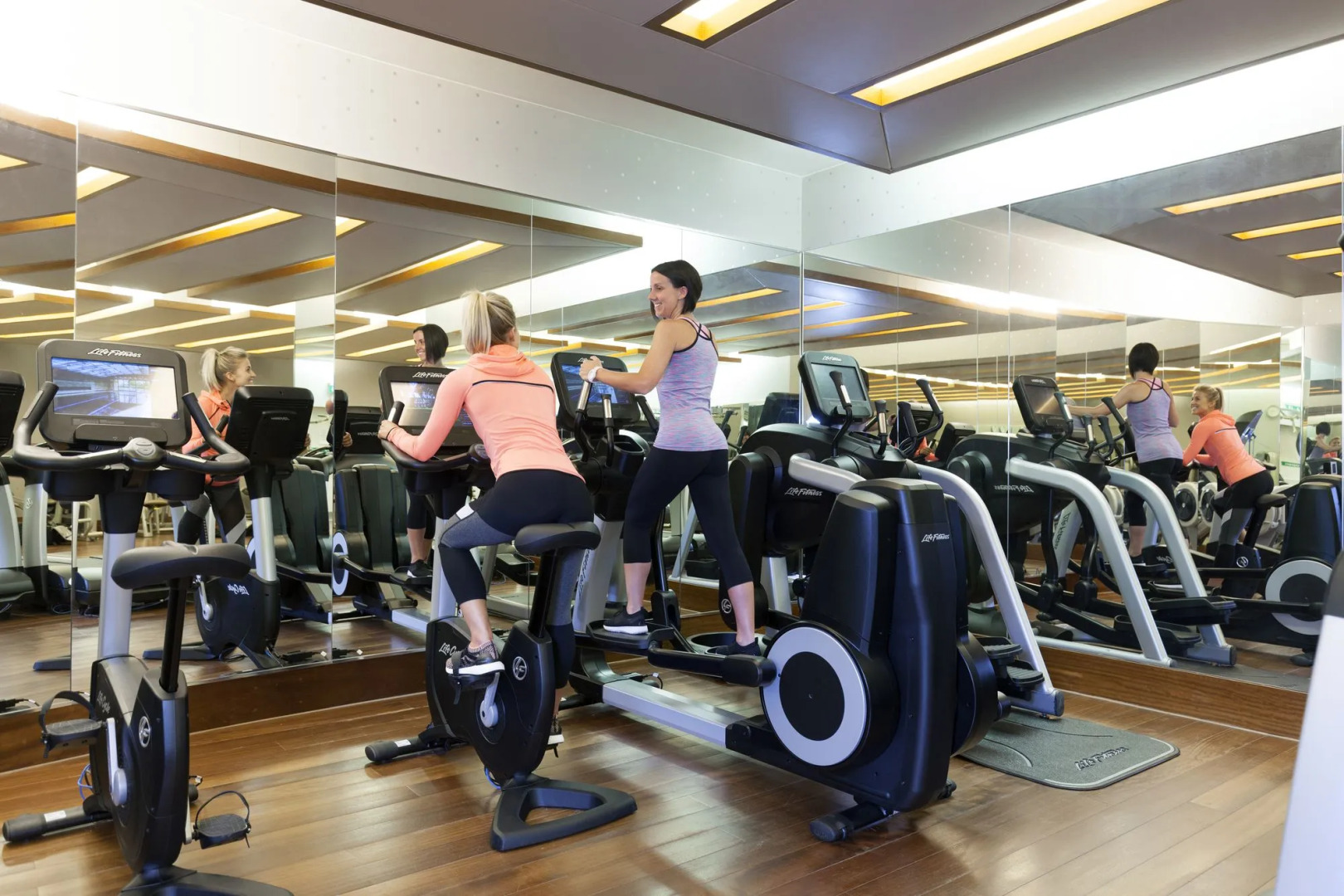 Lucknam Park, Emblems Collection