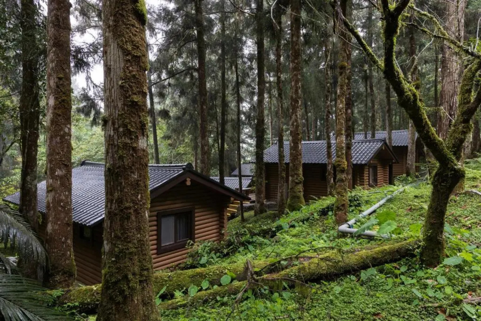 Ming Chi Shan Zhuang