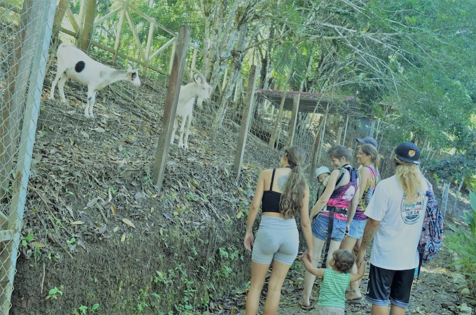 Hotel Nature Lodge Finca los Caballos