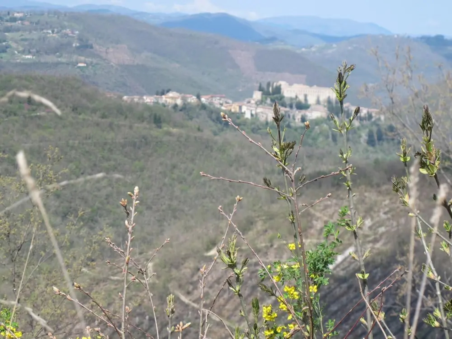 RSH Luxury Casale Sabina Valley