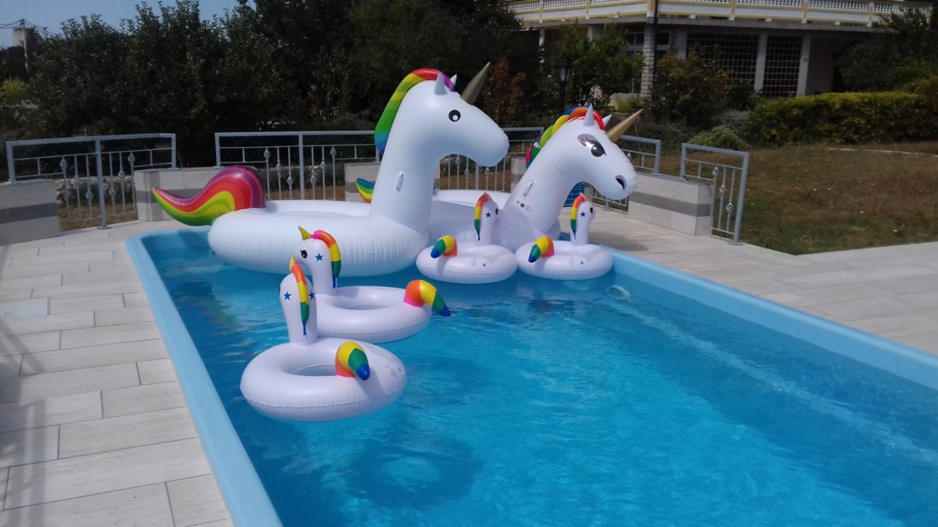 Apartment Ankica - pool & garden A2 Kampor, Island Rab