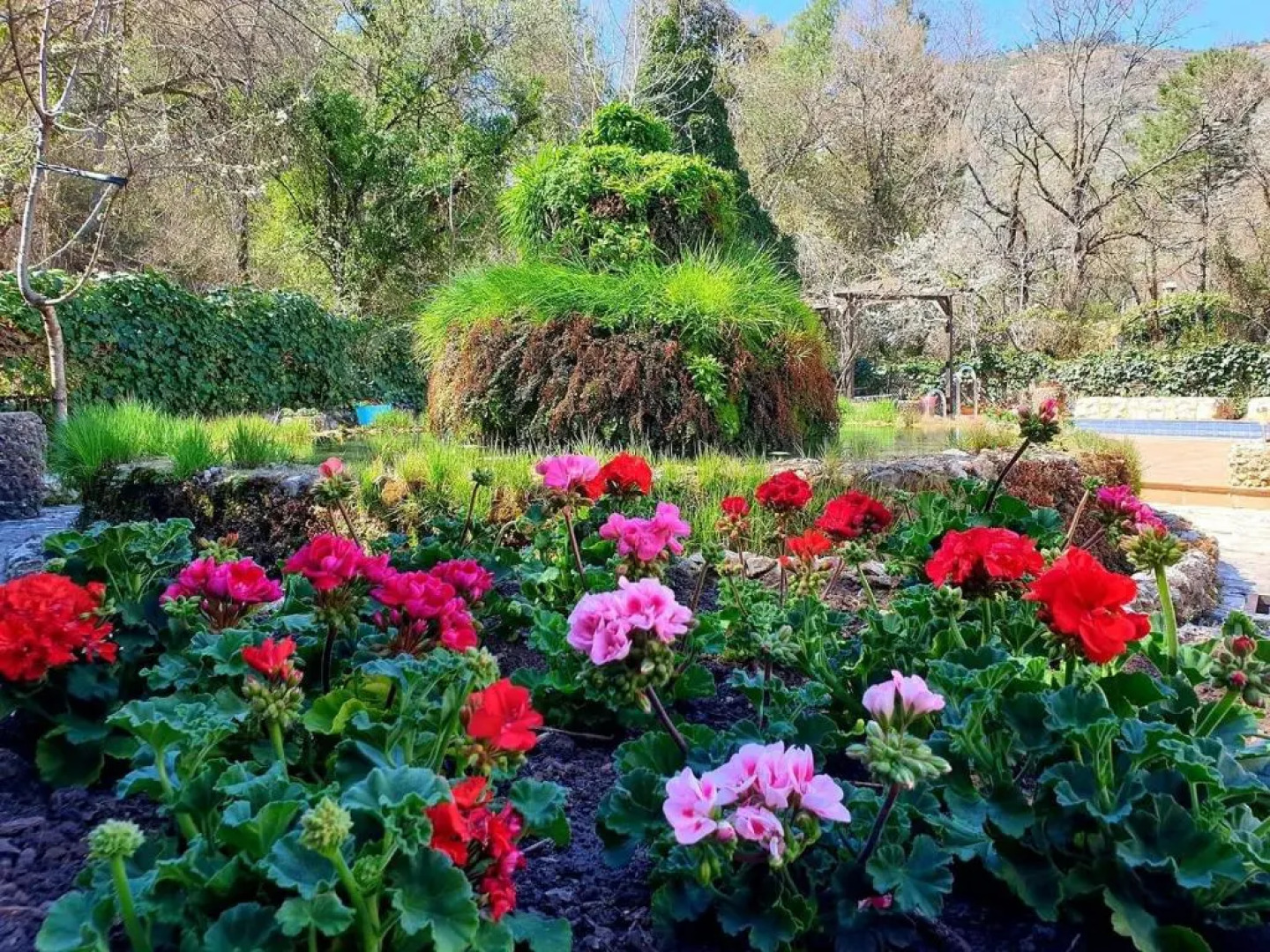 Apartamentos El Parral