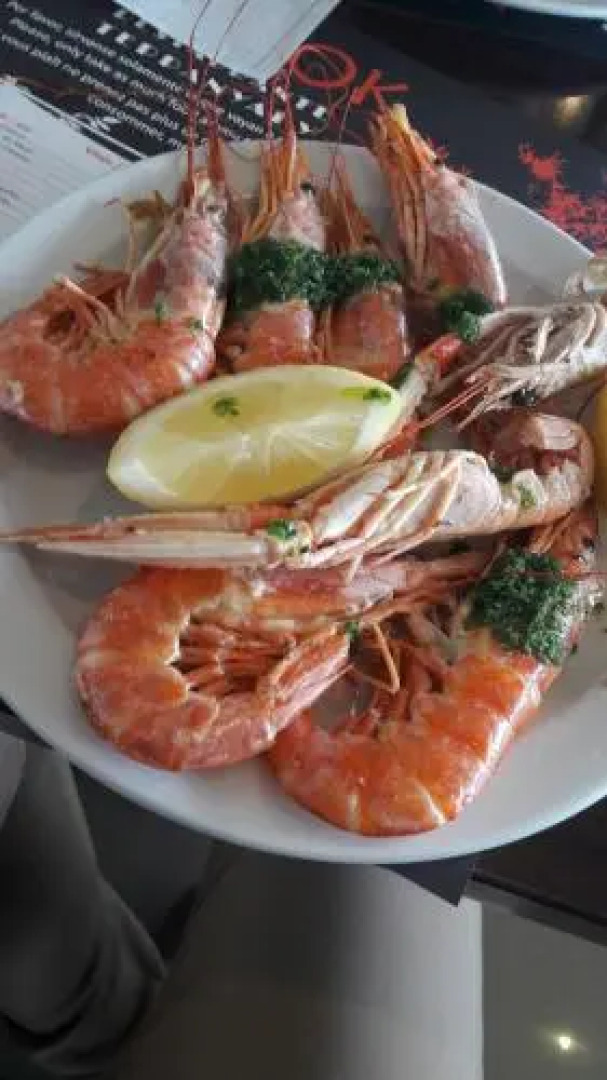 Jasmine Coral Jay Boutique Botel