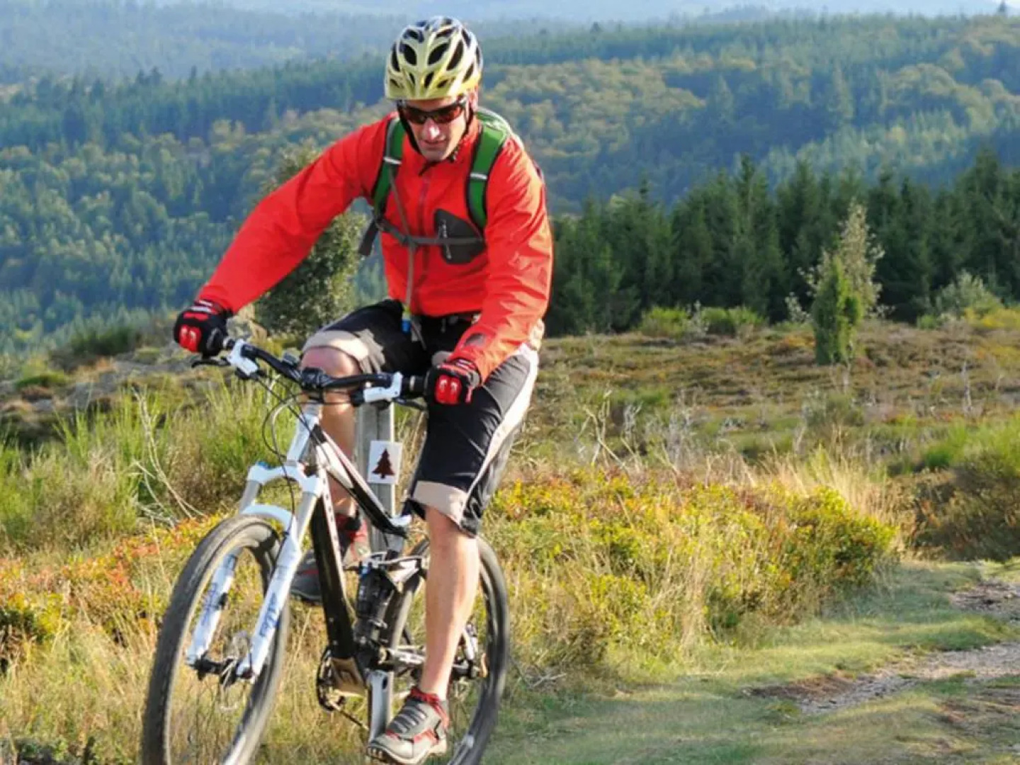 Gîte Saint-Alban-les-Eaux, 3 pièces, 4 personnes - FR-1-496-75