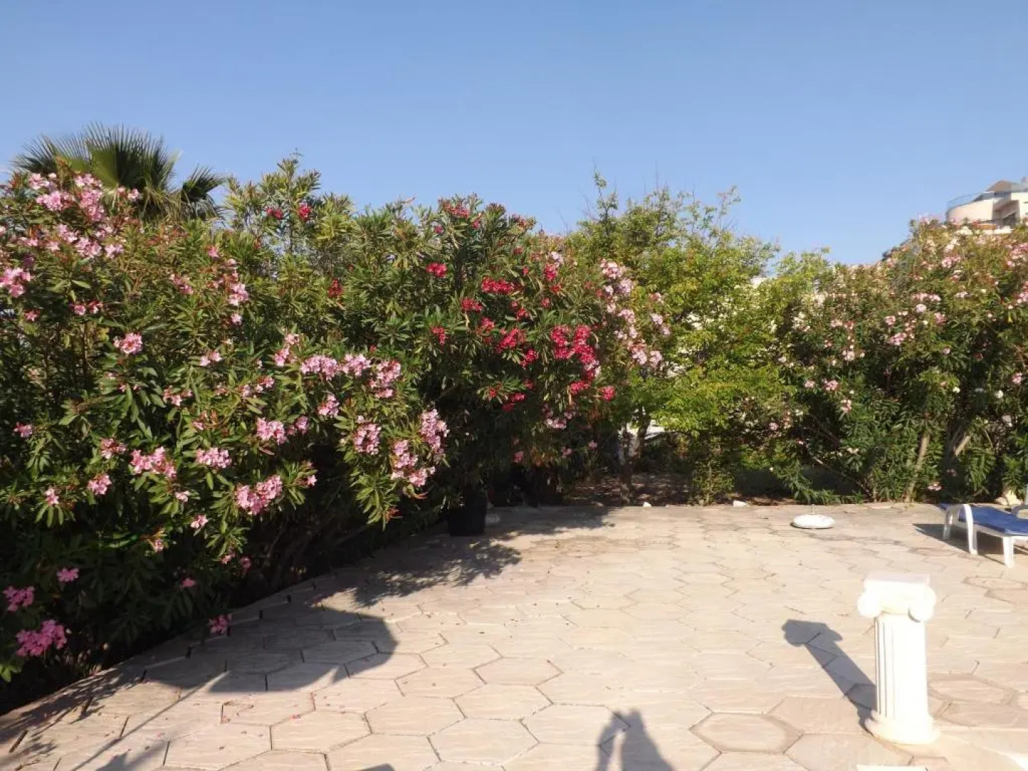 Paradise Holiday Bungalows