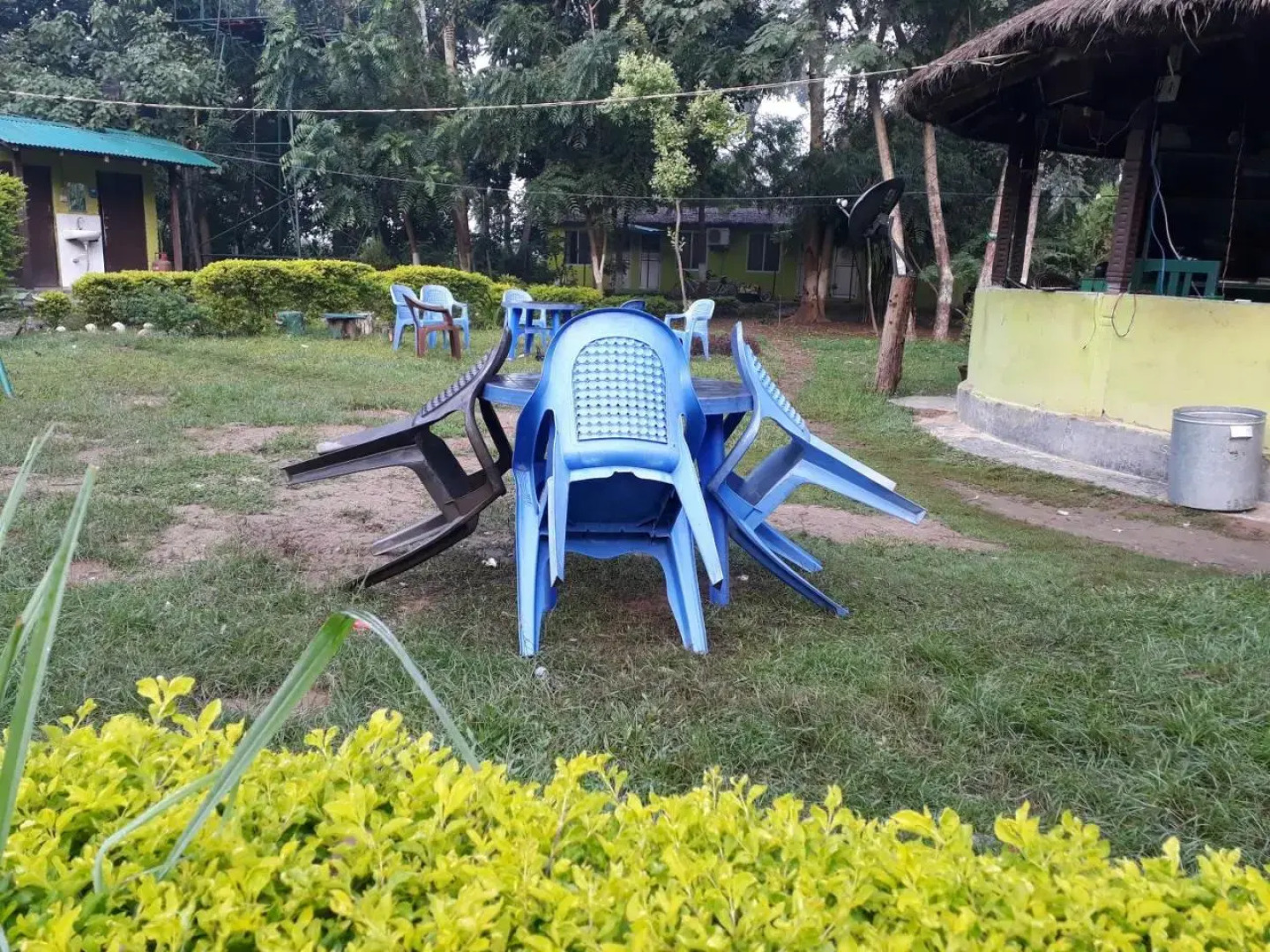 Suklaphanta Jungle Cottage