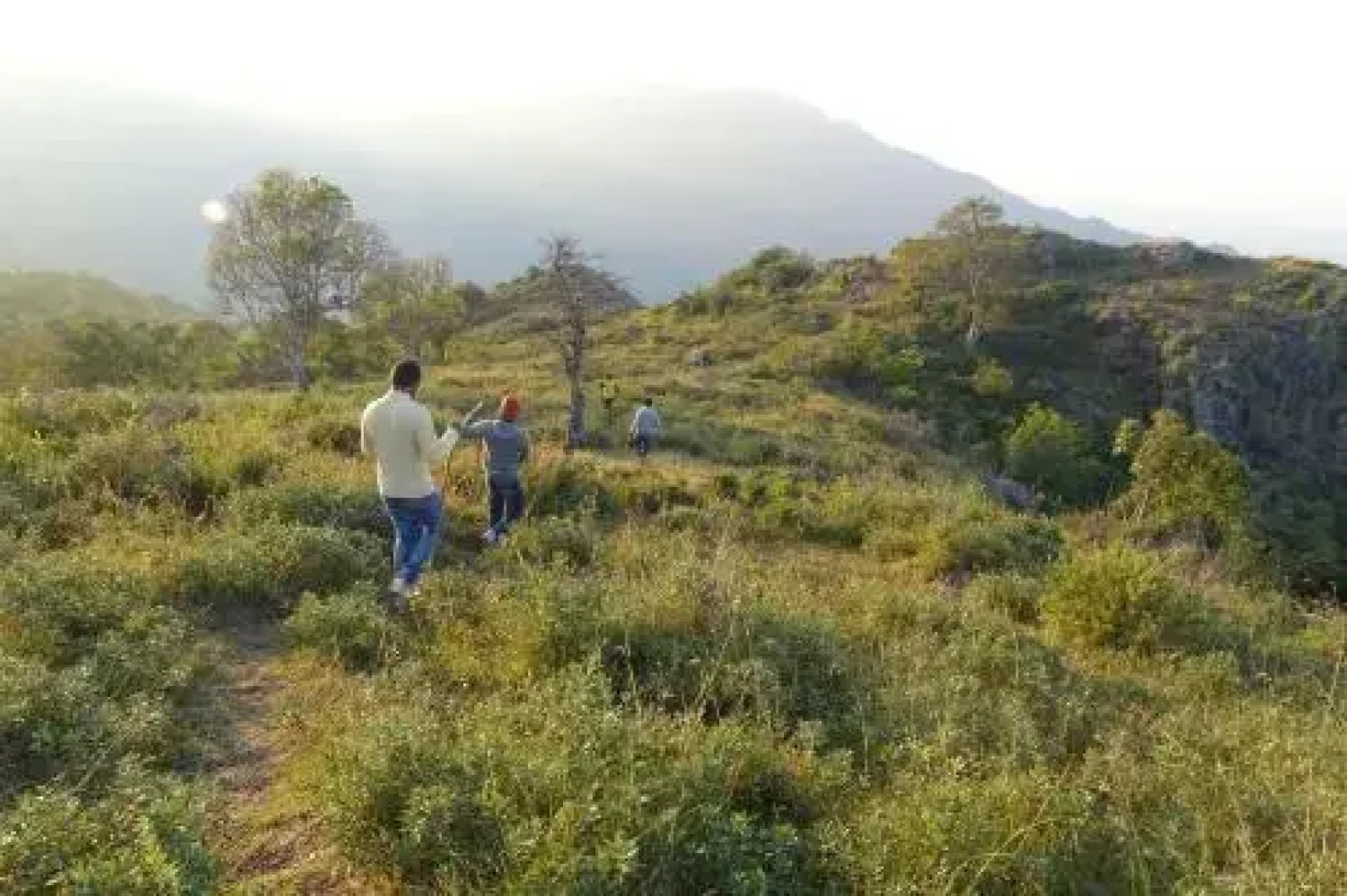 Wild Walkers by Vista Rooms