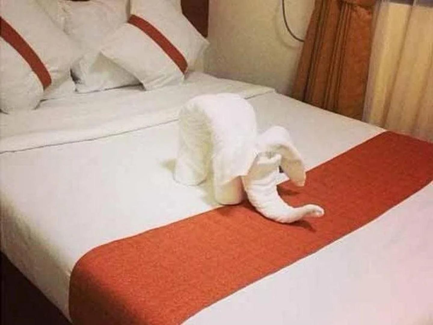 Farmhouse Hotel & Cafe