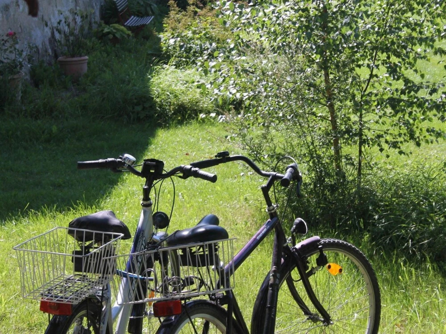 country Apartment in Steffenshagen With Garden