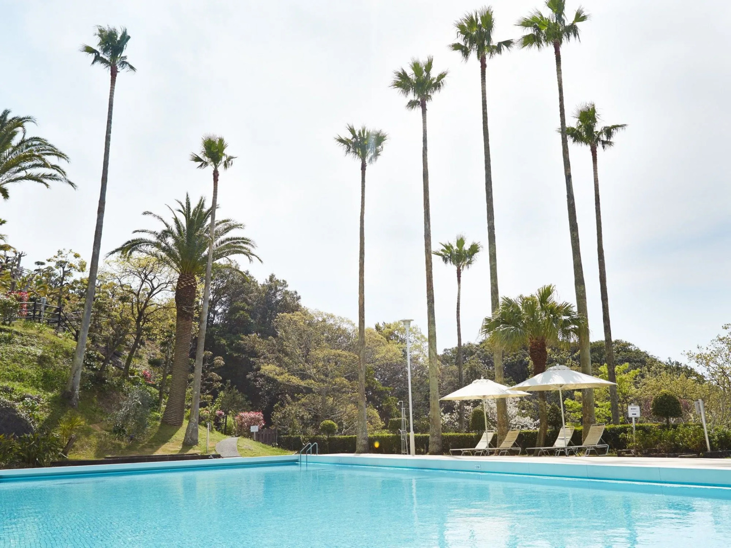 Отель Shimoda Tokyu