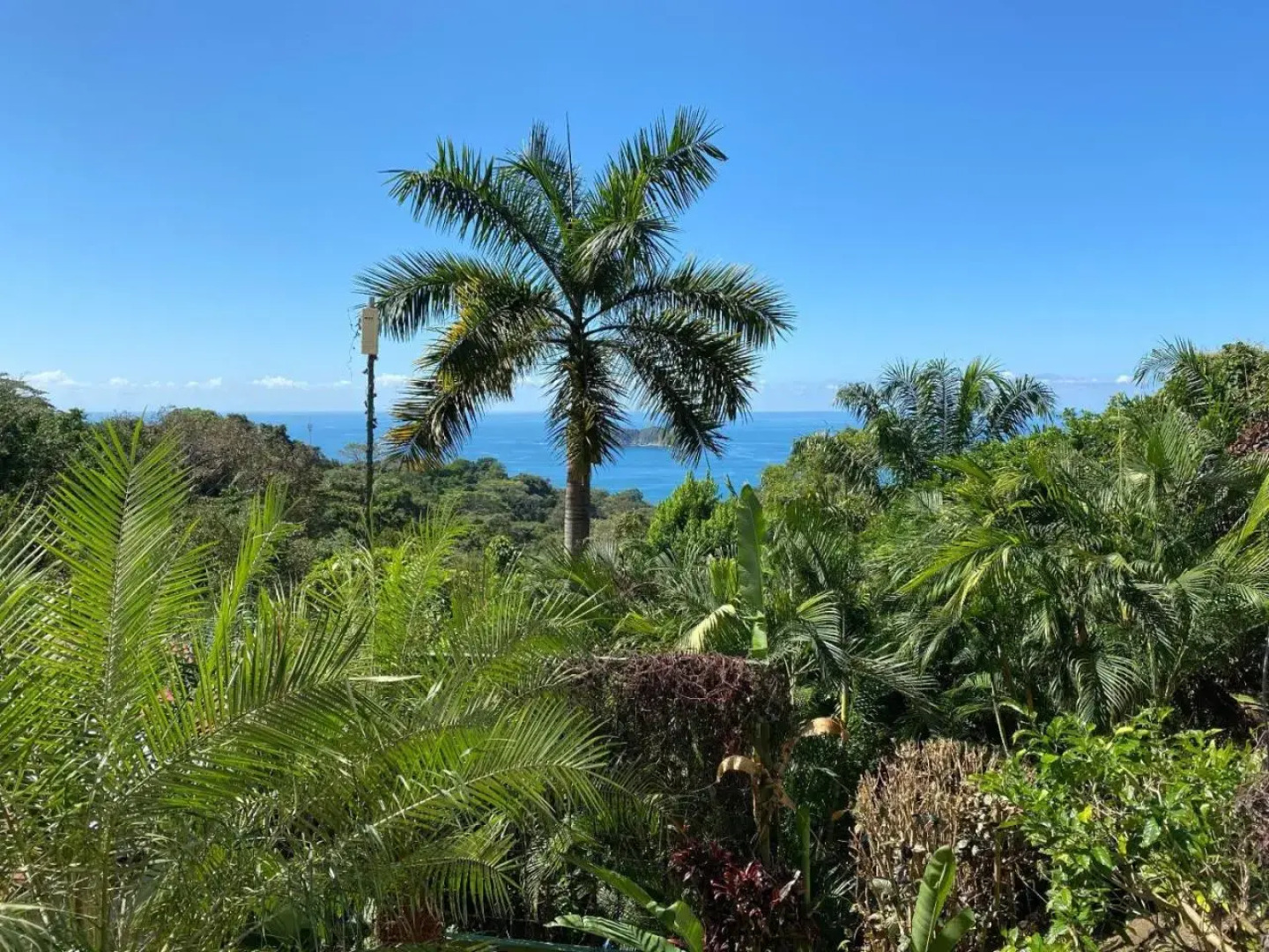 Villa Roca Boutique Resort & Suites   Adult Only