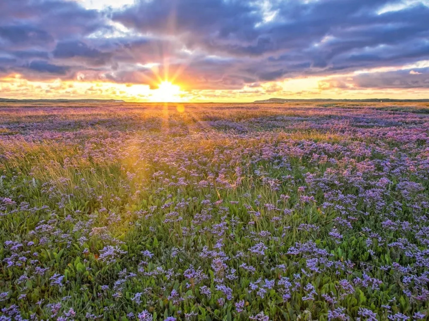 Holiday Home in De Koog With Sauna and Garden