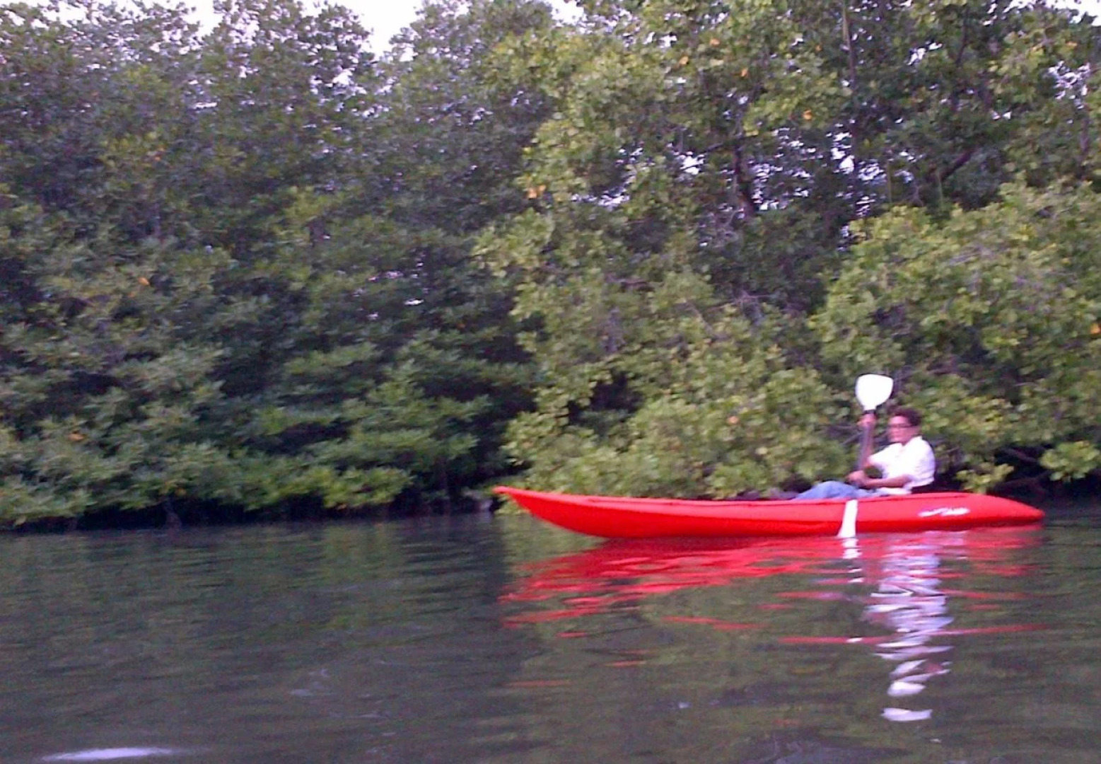 Bushida Bed and Breakfast