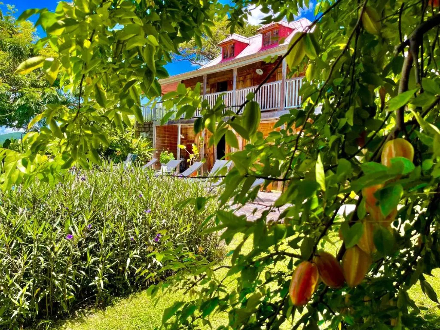 Habitation Caféière Samana Beauséjour