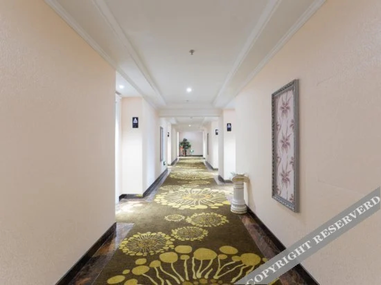 Xuzhou the Swan Inn