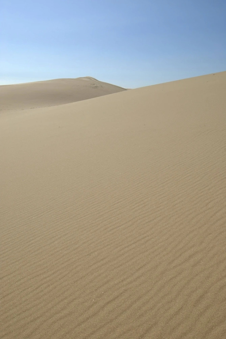 Dunes Waterfront Resort