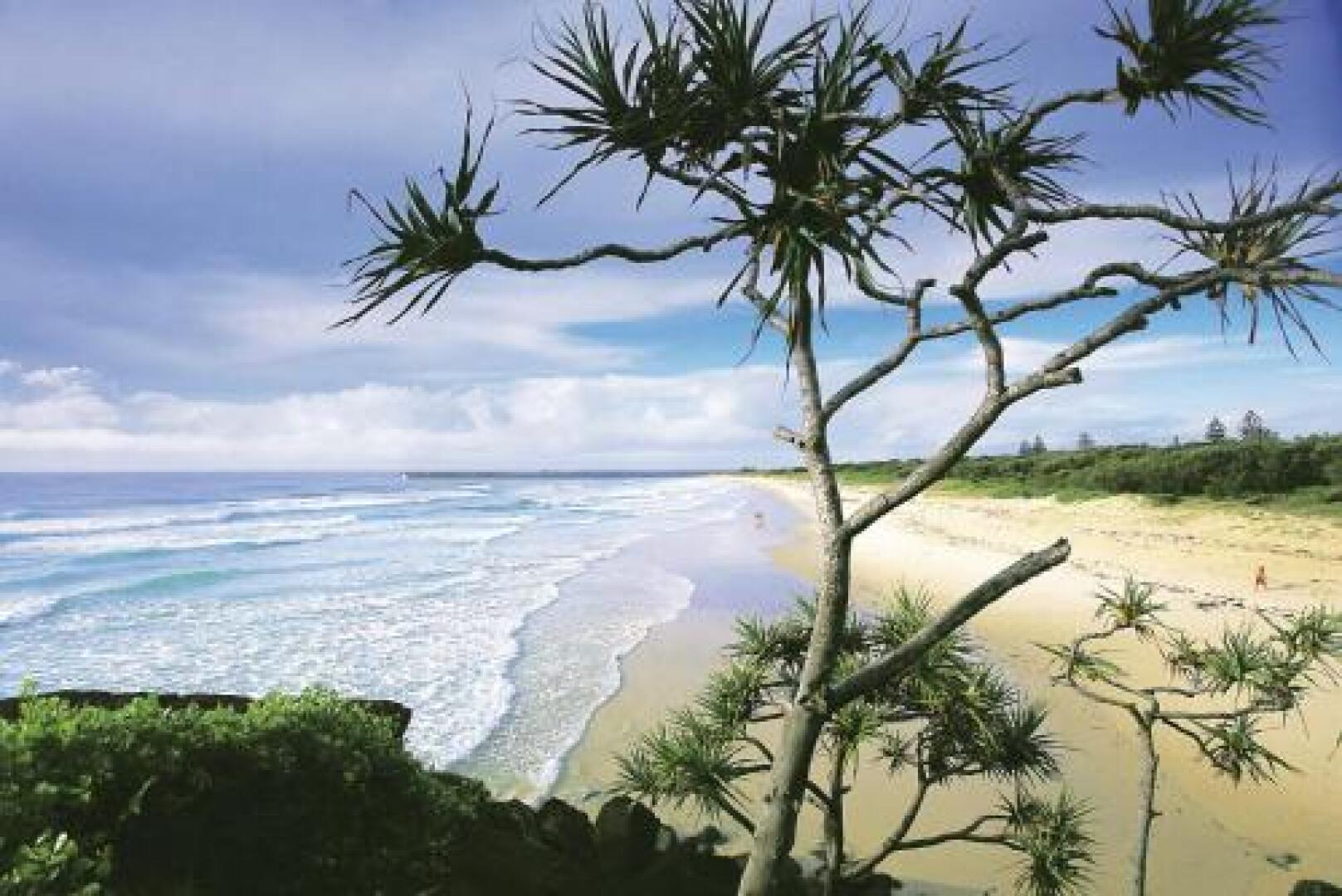 Shelly Beach House 1