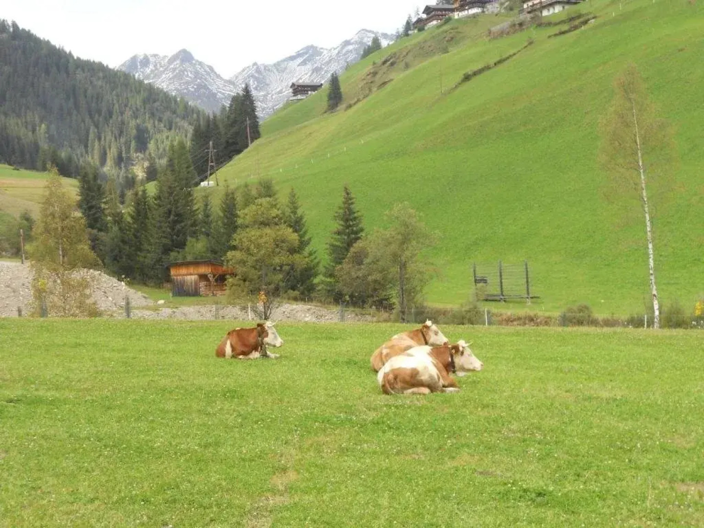 Ferienwohnungen Michaela Ortner