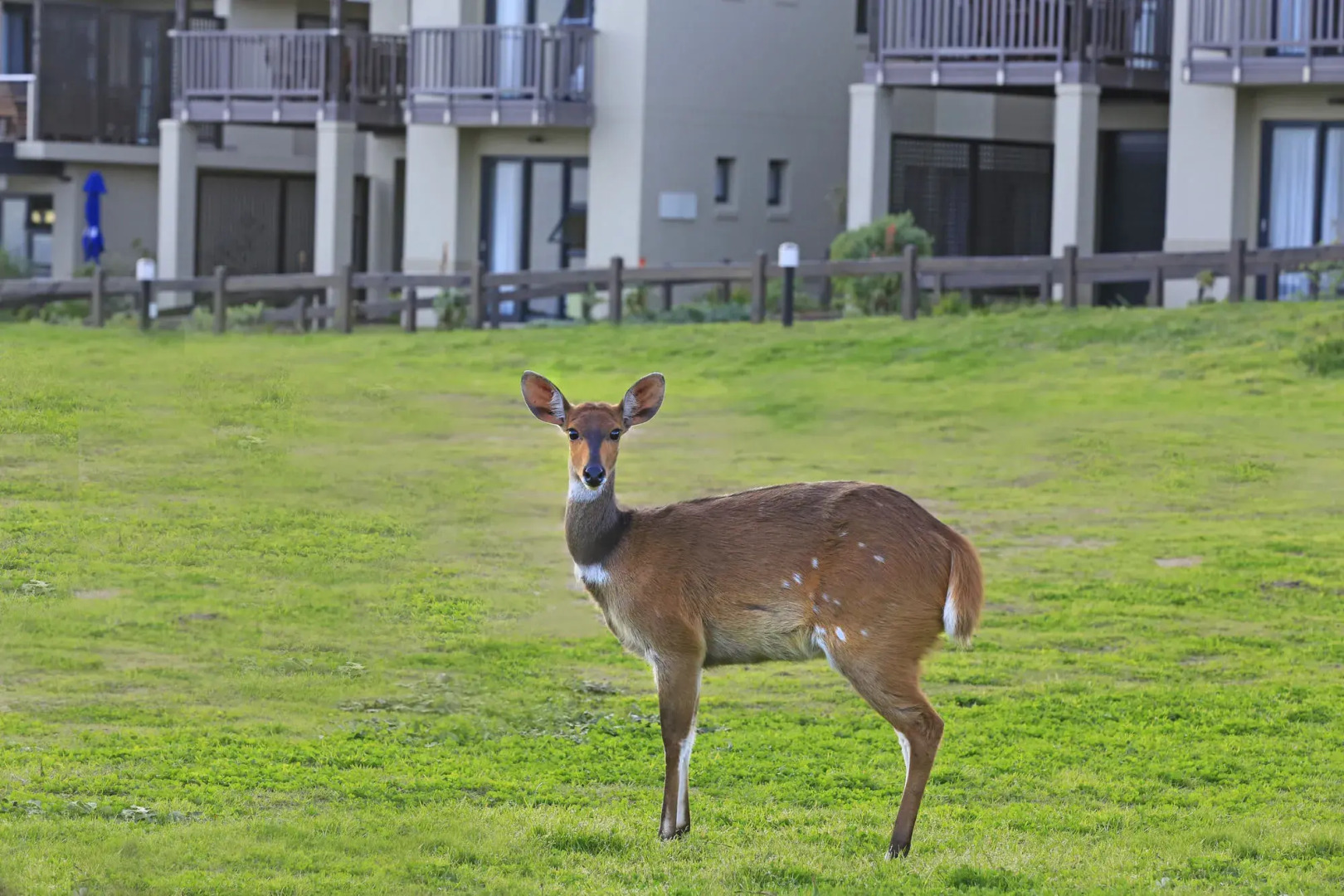Brenton Haven Beachfront Resort