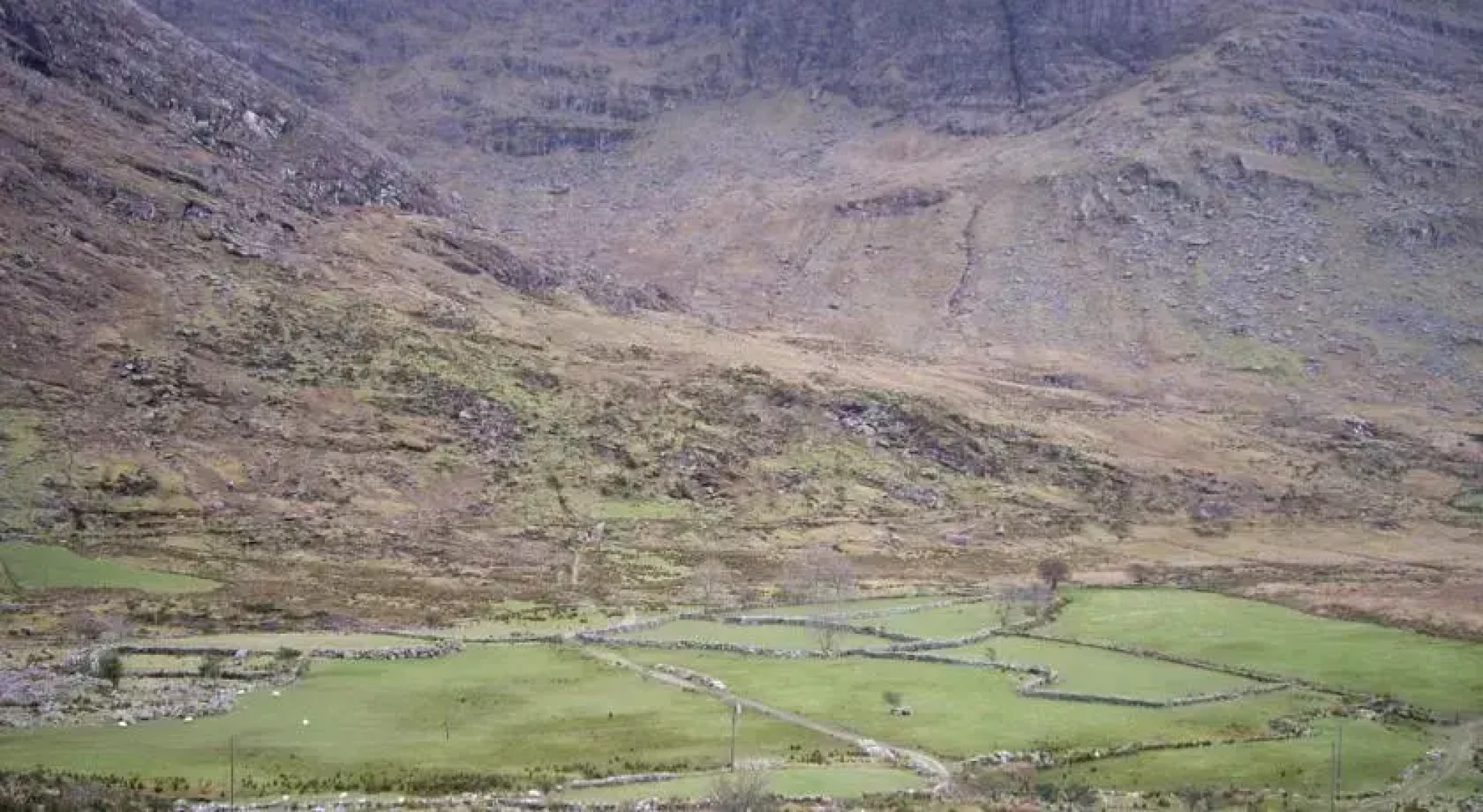 Stepping Stone Bed and Breakfast