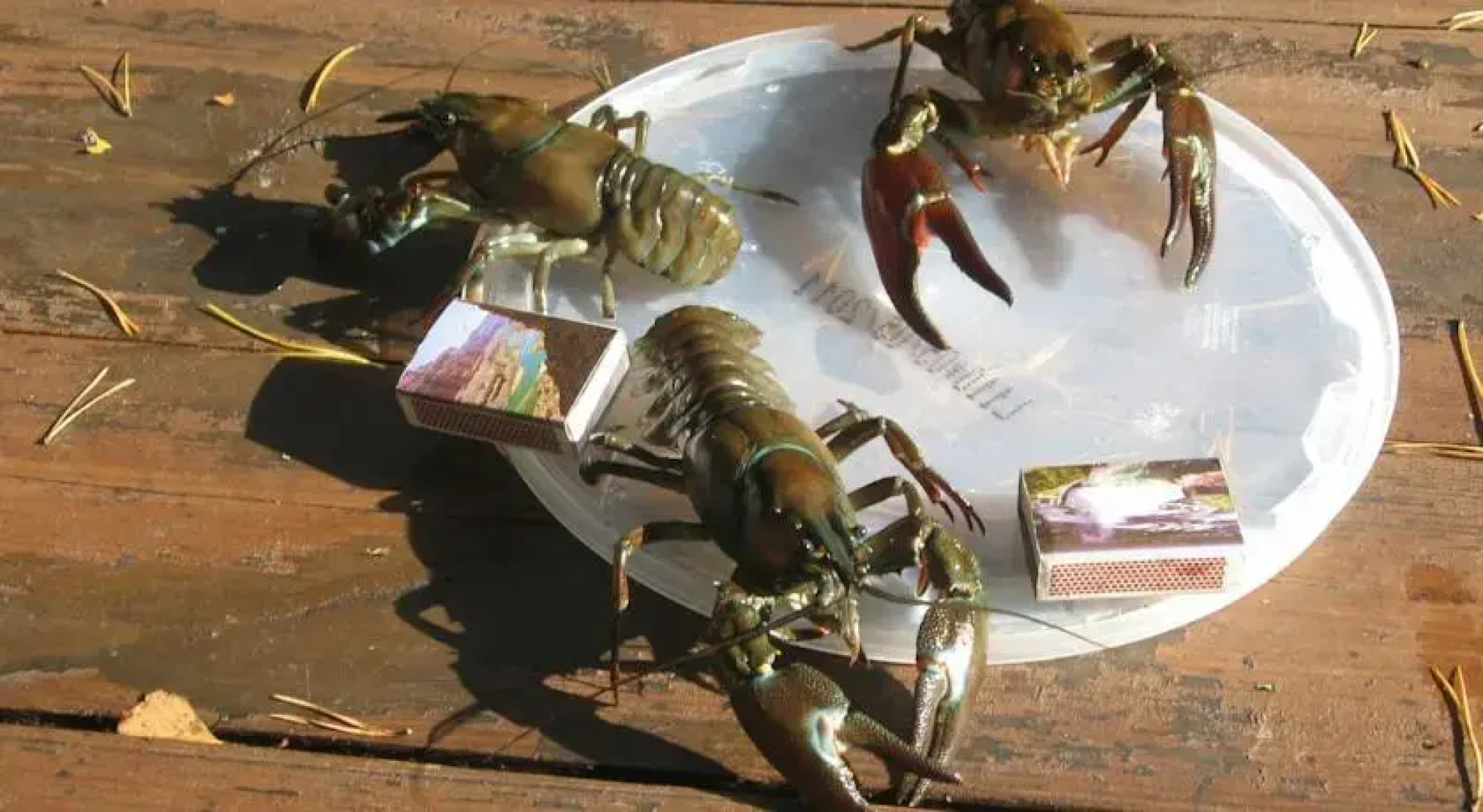 Päiväranta Cottage