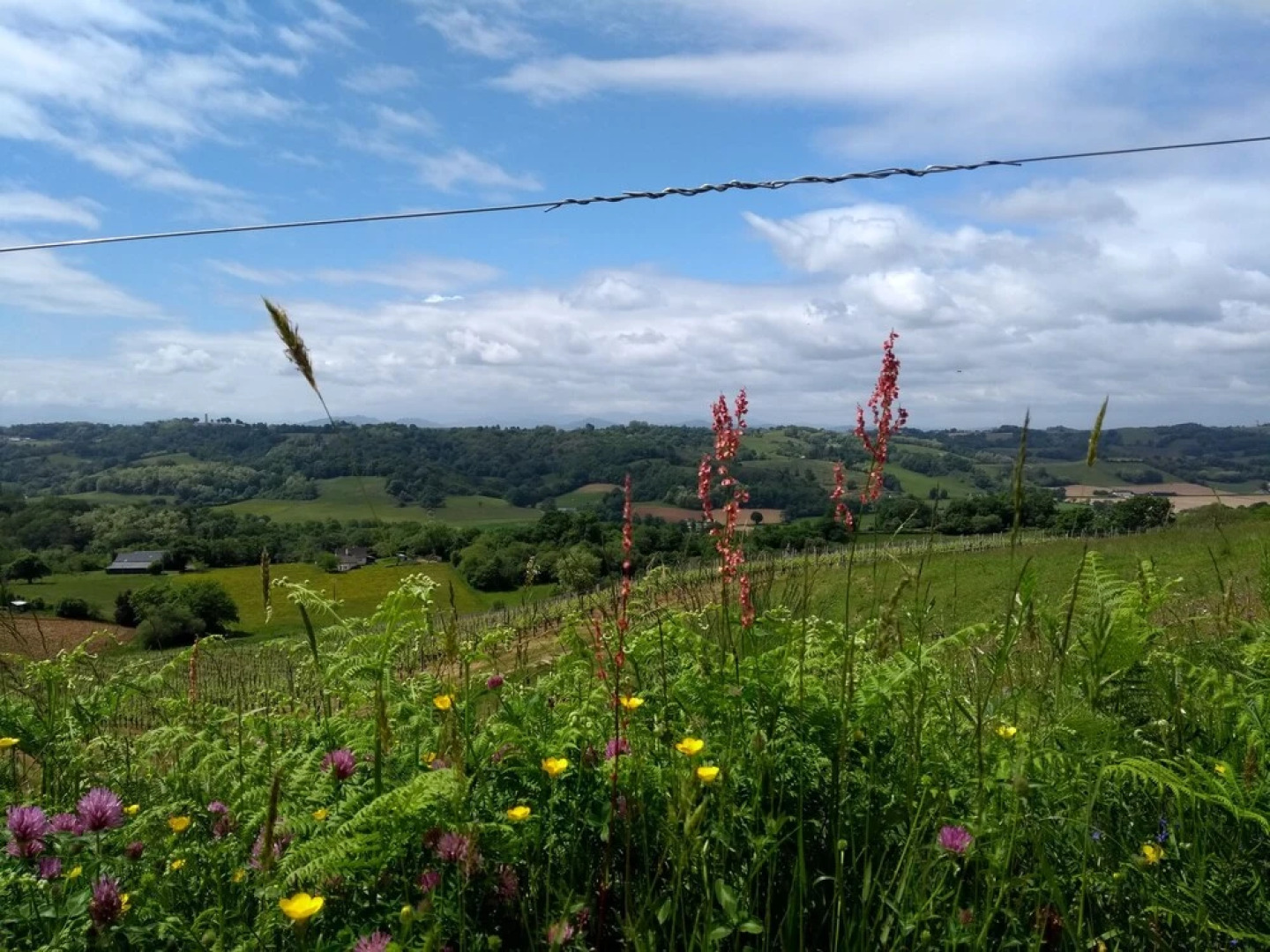 Gites de Bernet - Les Roses