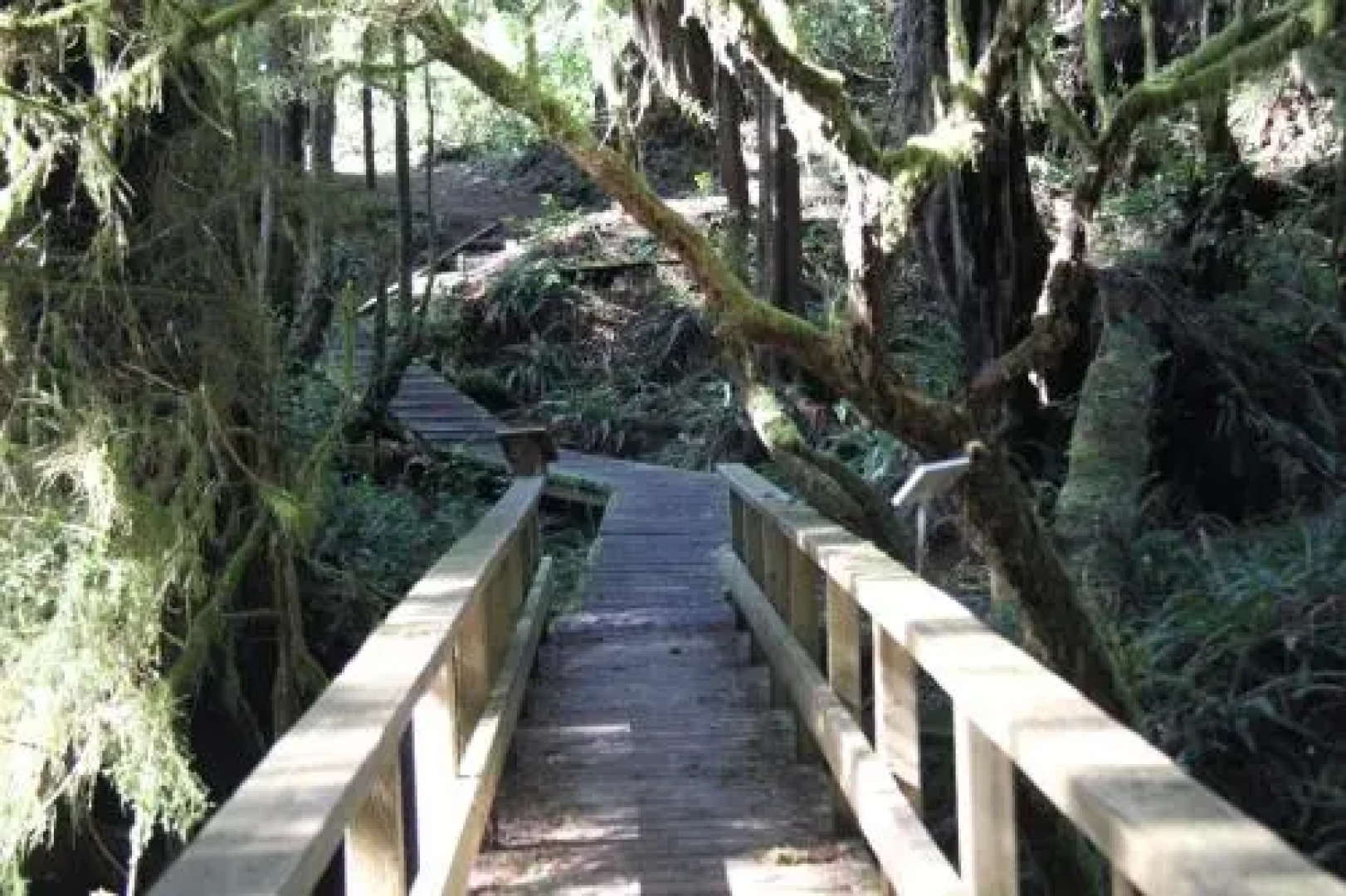 Whiskey Landing #210 Seaside by Natural Elements Vacation Rentals