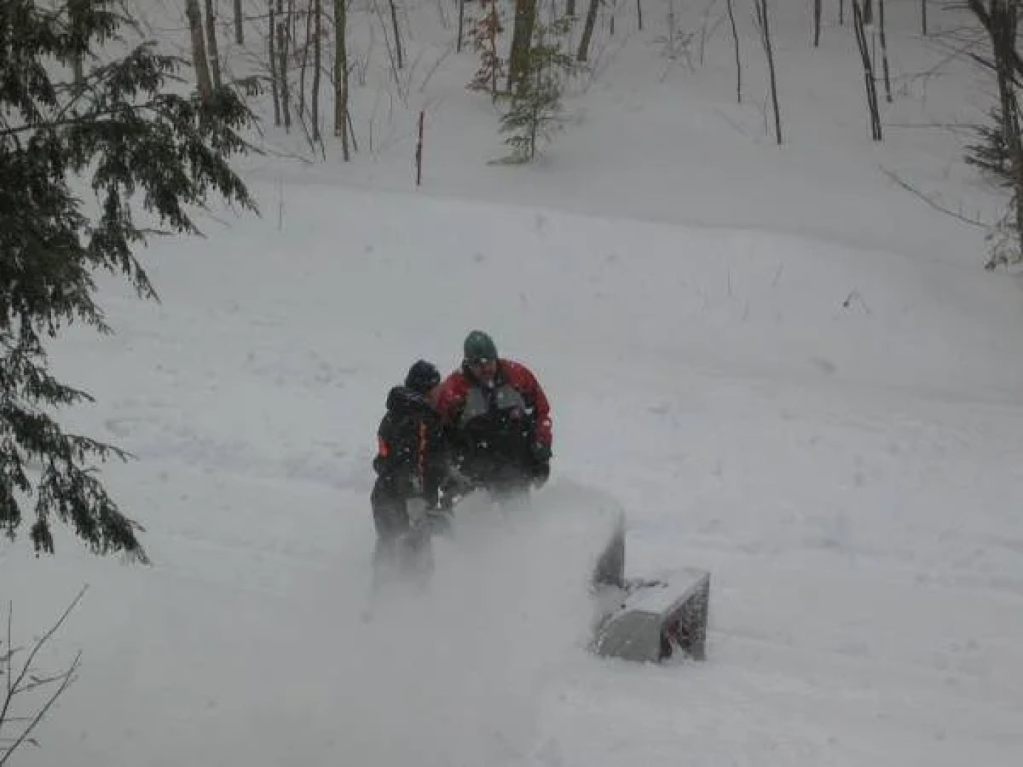 Gite Bijou dans la Forêt