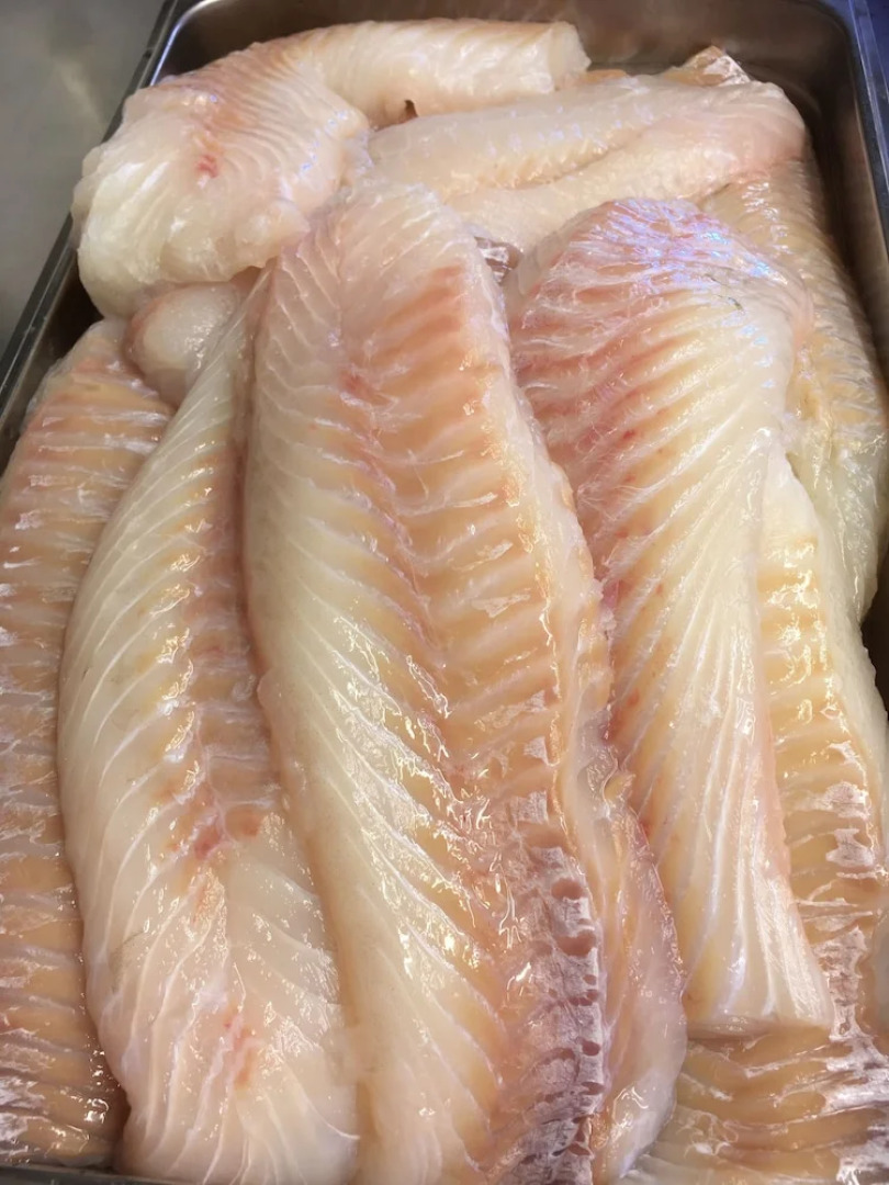 Båtsfjord Polar Hotell