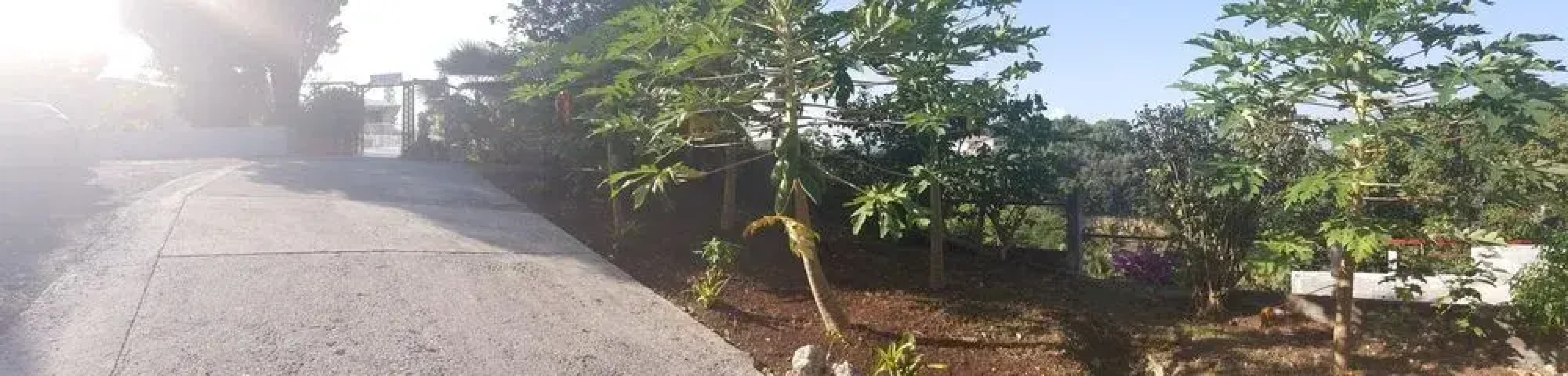 Les Terrasses de Boisvin