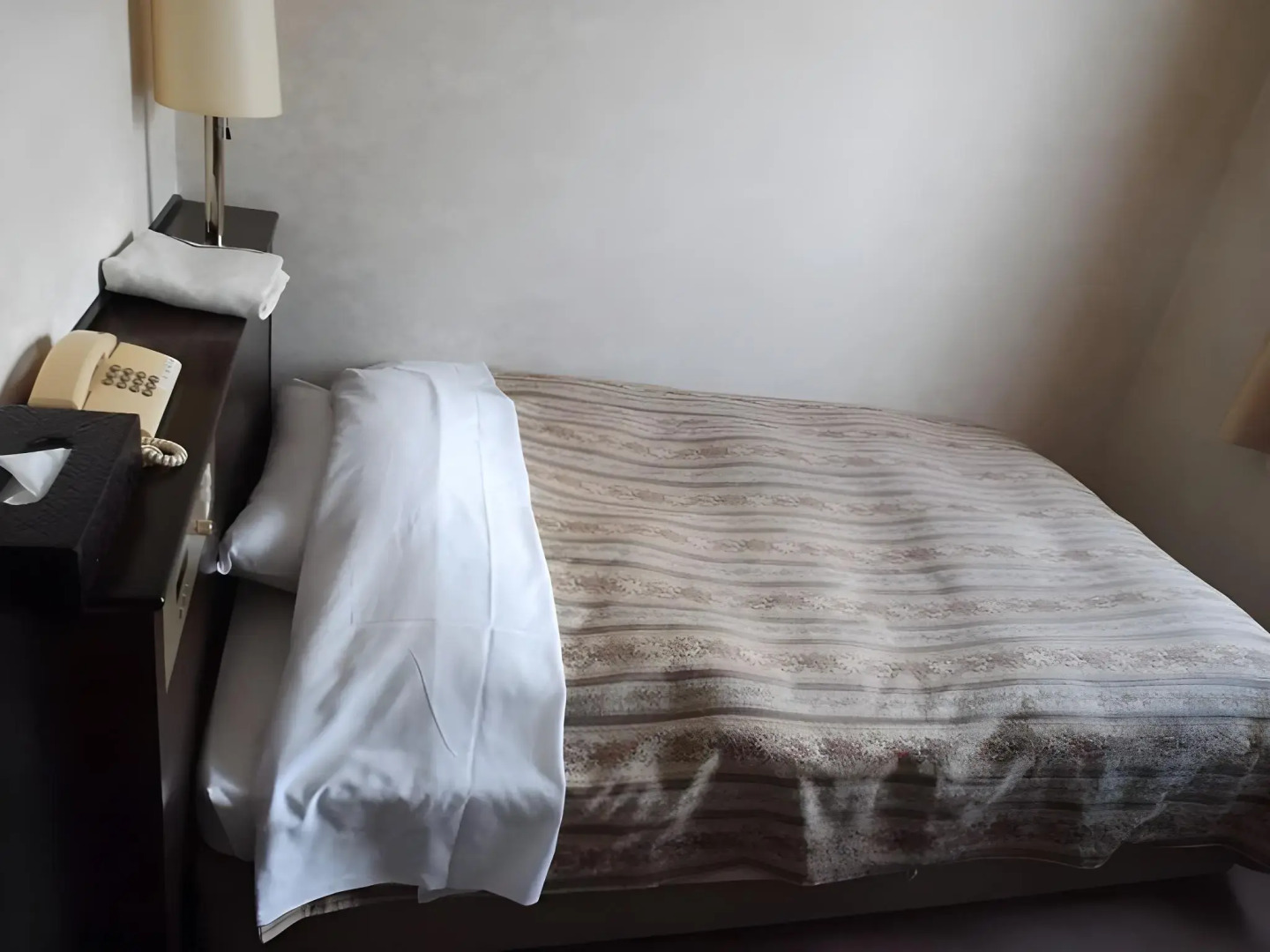 Business Green Hotel Hino