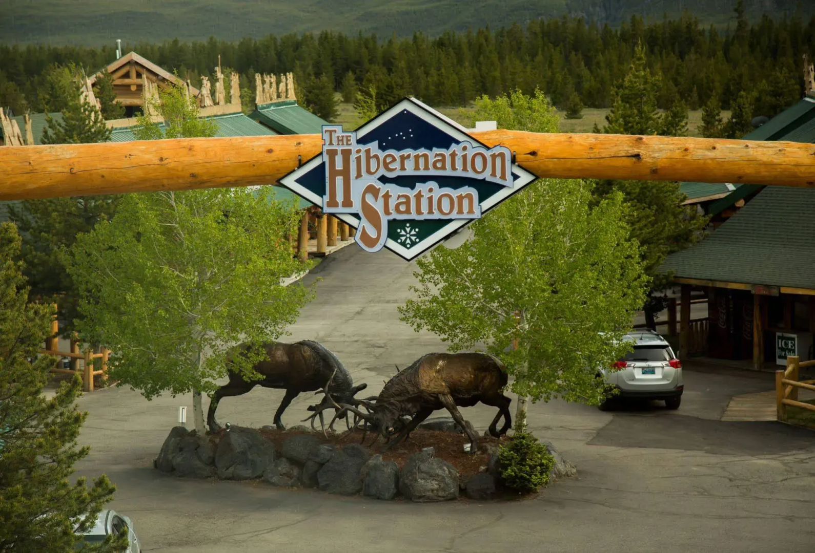 The Hibernation Station