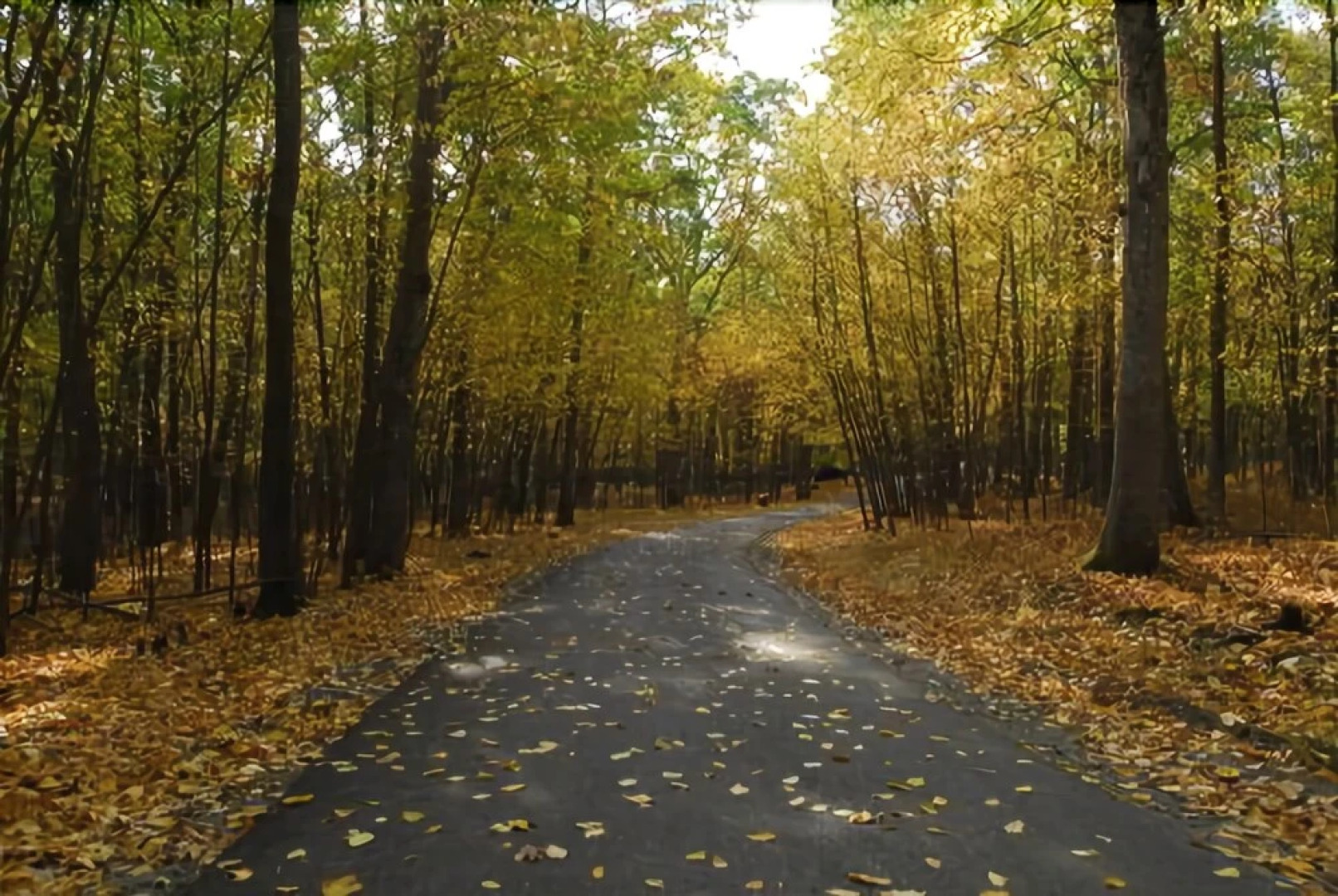 Woodloch Pines Resort