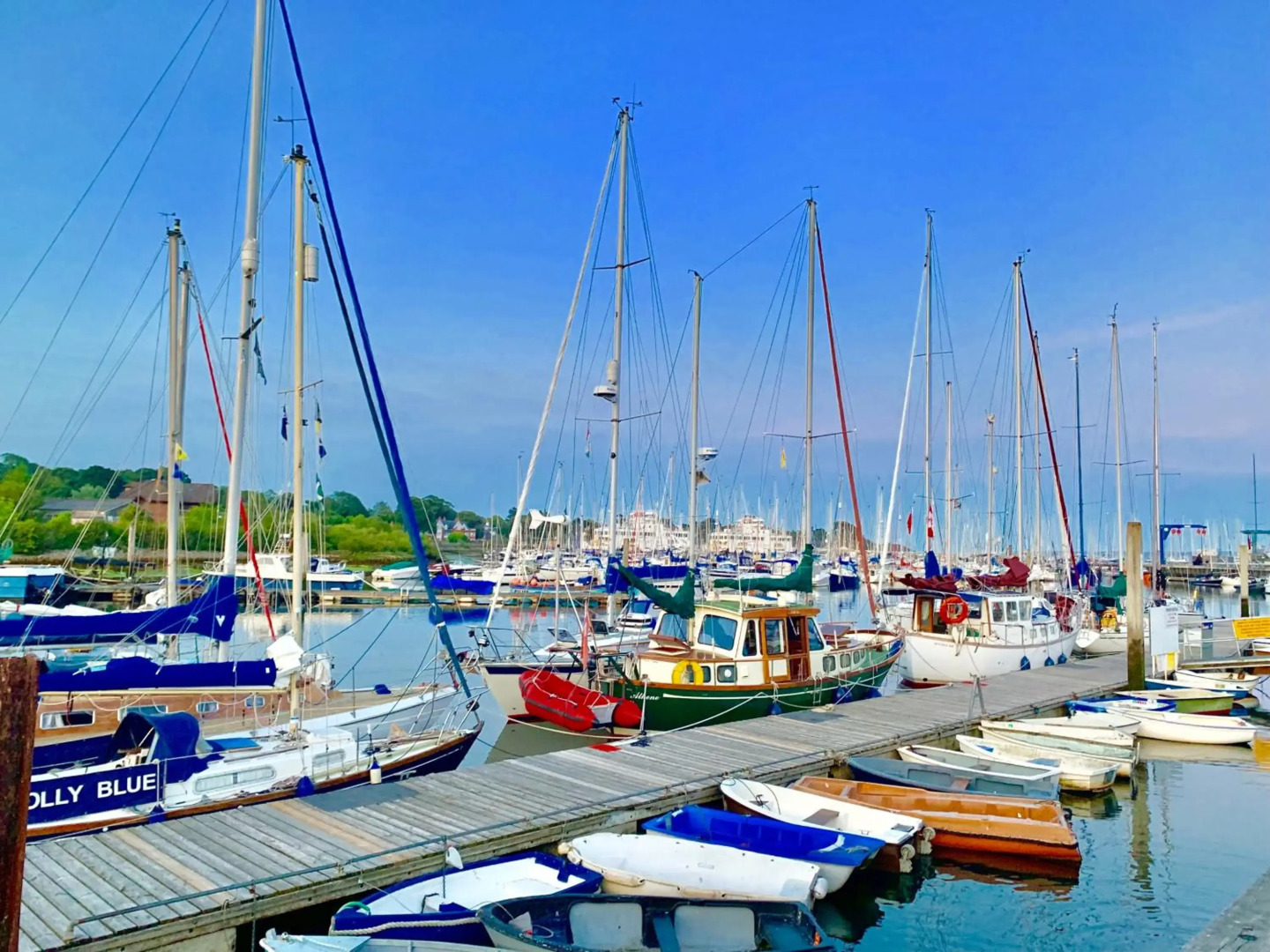 Forest & beach access Naish park