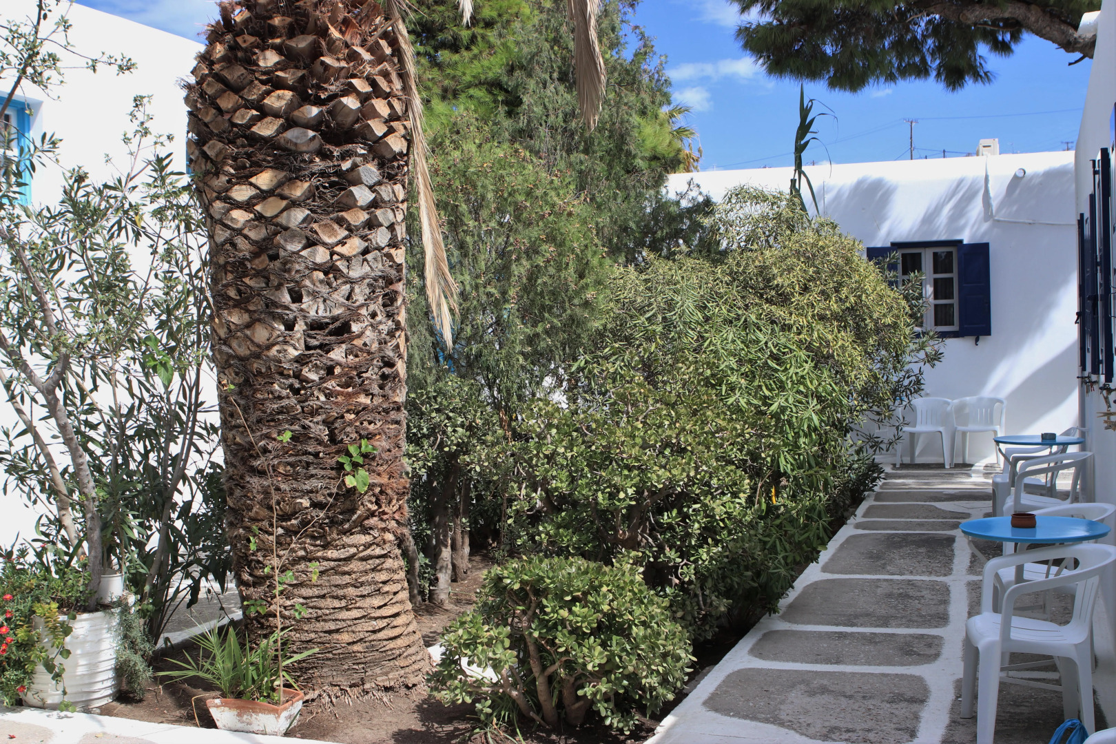 Aphrodite Garden Studios & Olympia Annex