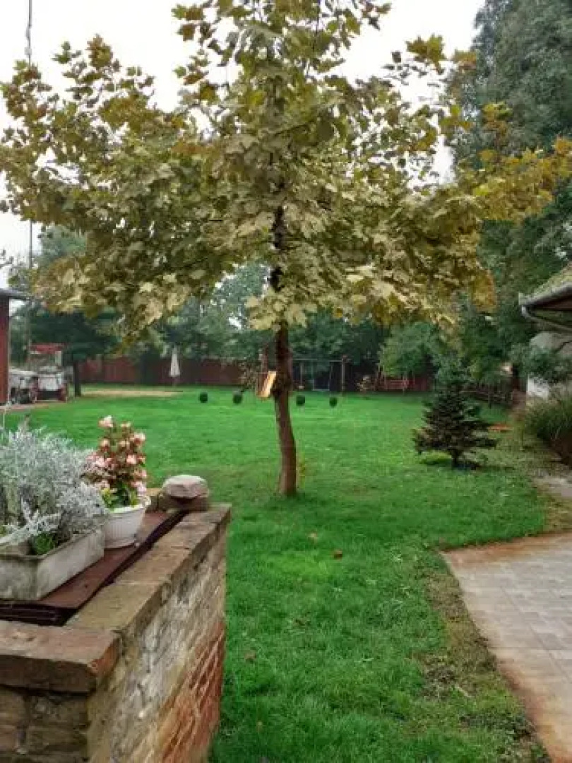 Sahara Ferienwohnung