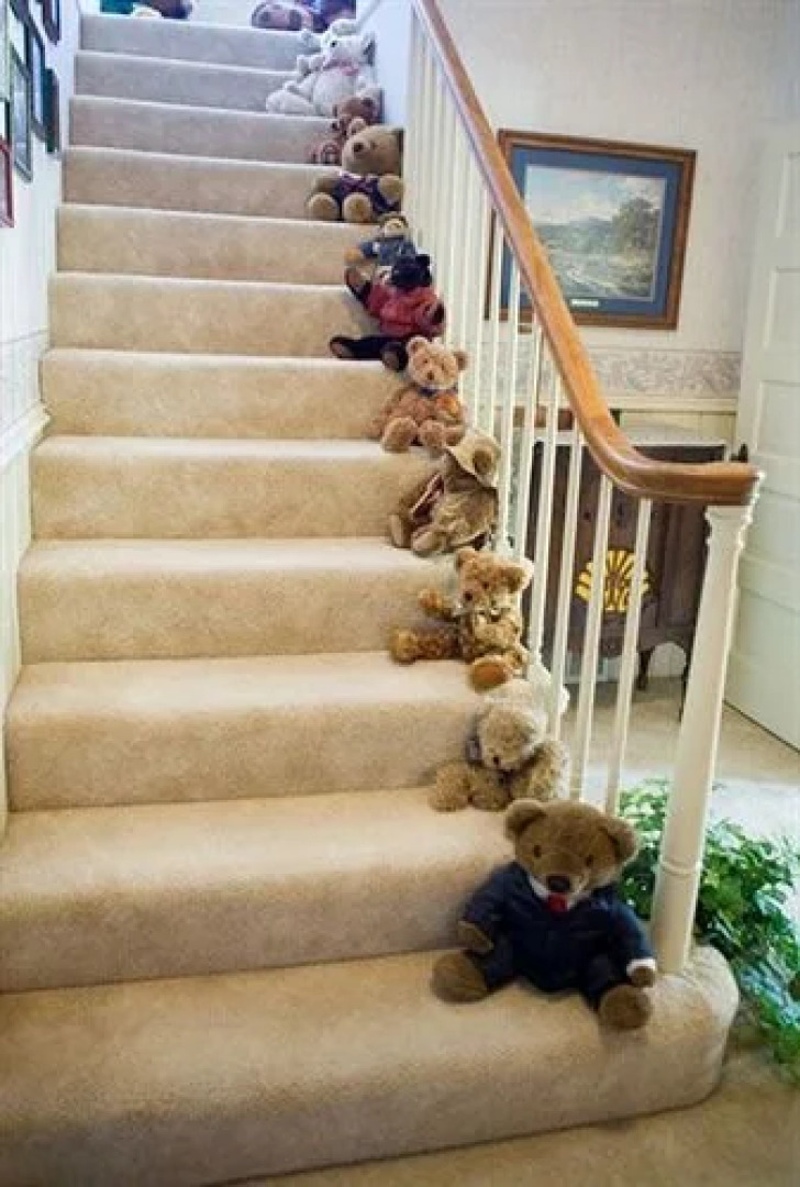 Let's Go Country Bed & Breakfast