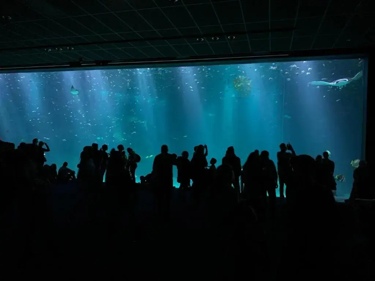 KYPRYS - Villa 1930 - Wimereux