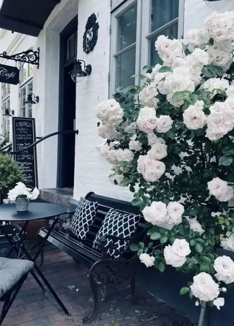 Schwanen Herz Comfortable Holiday Residence