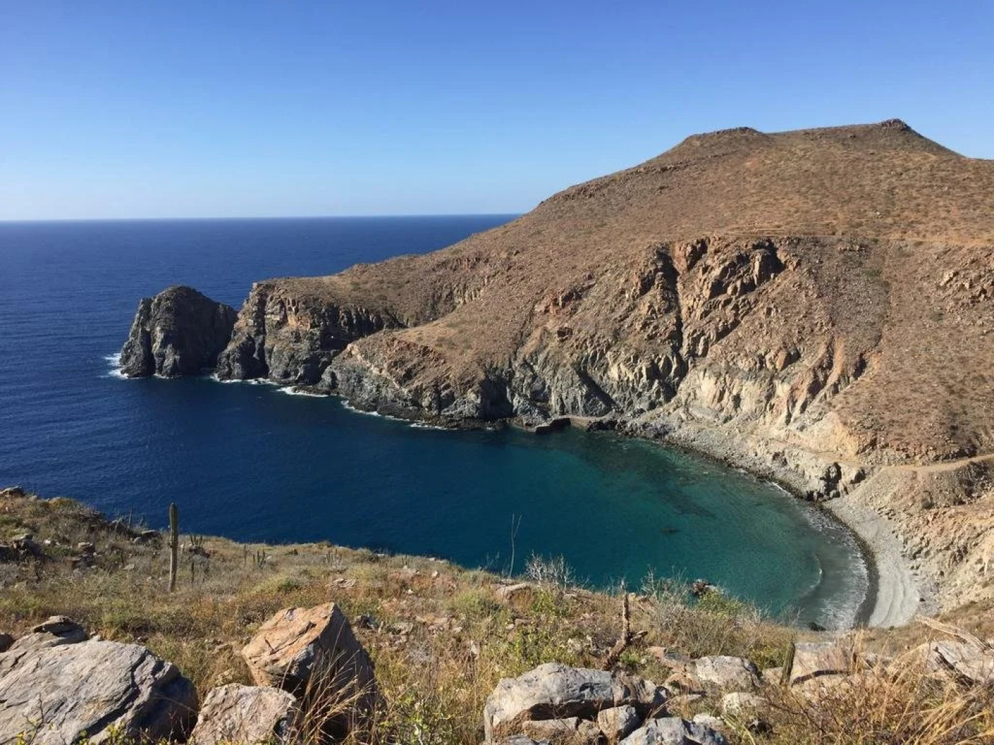 Las Palmas Tropicales