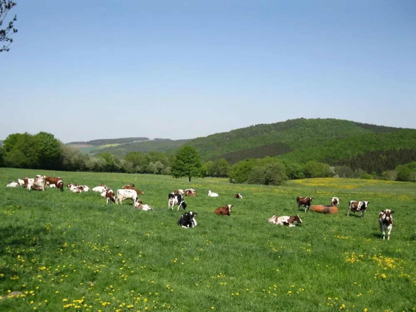 Holiday Apartment Anita Wald